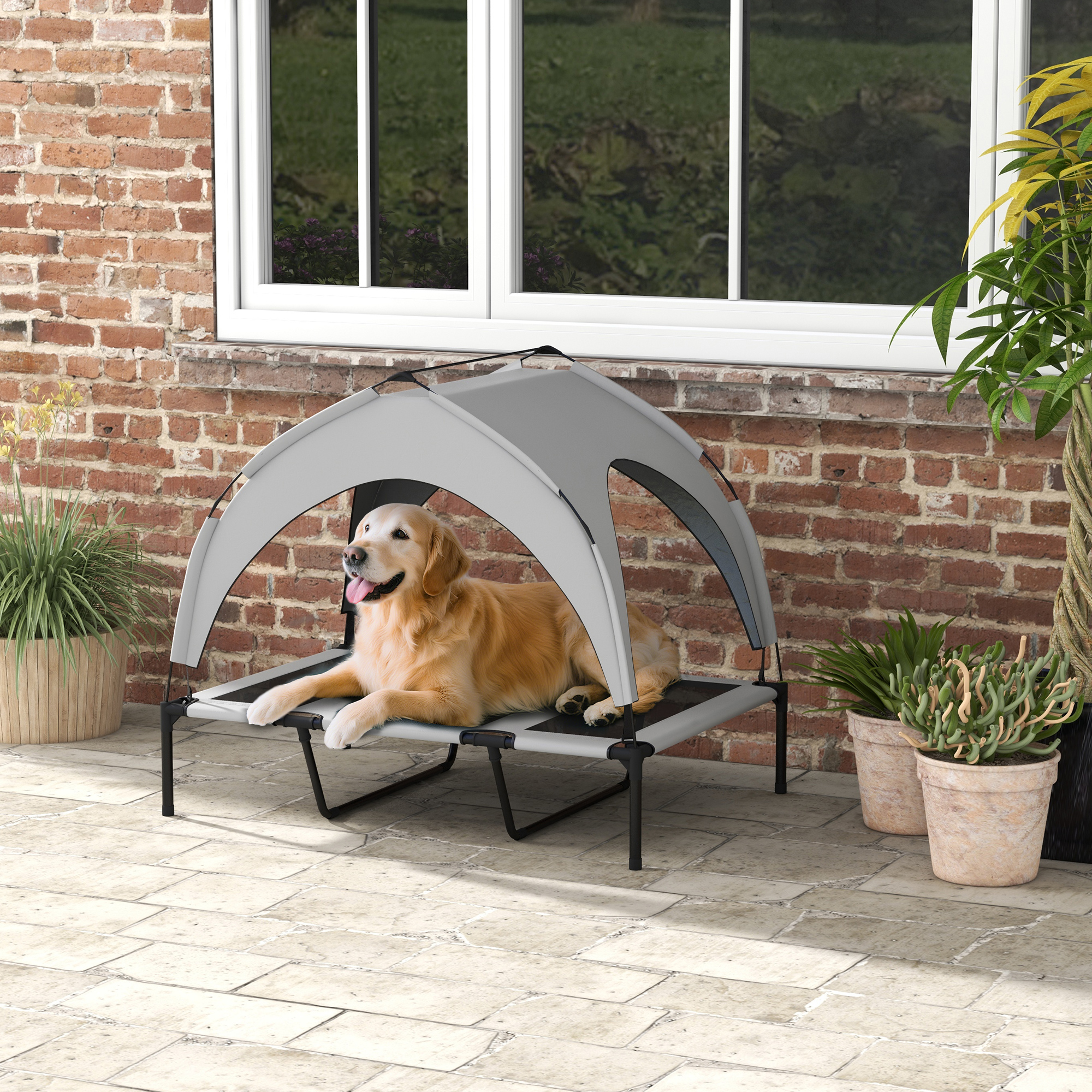 Un Golden Retriever descansa en una cama elevada para perros con dosel en un patio.