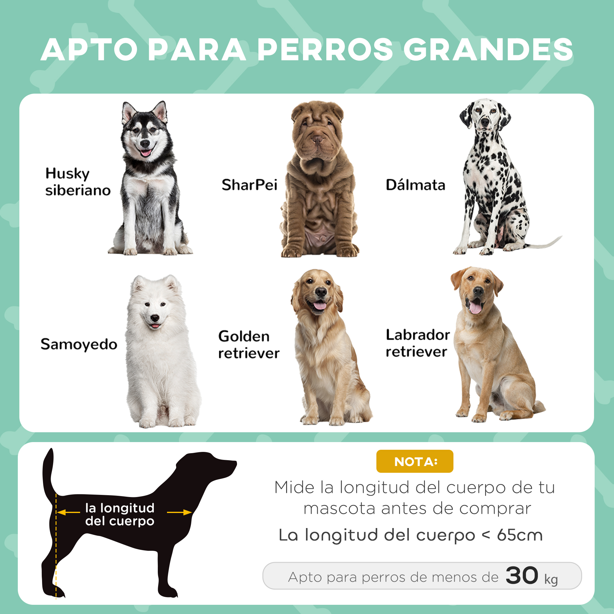 Seis perros: Husky, Shar Pei, Dálmata, Samoyedo, Golden Retriever, Labrador.