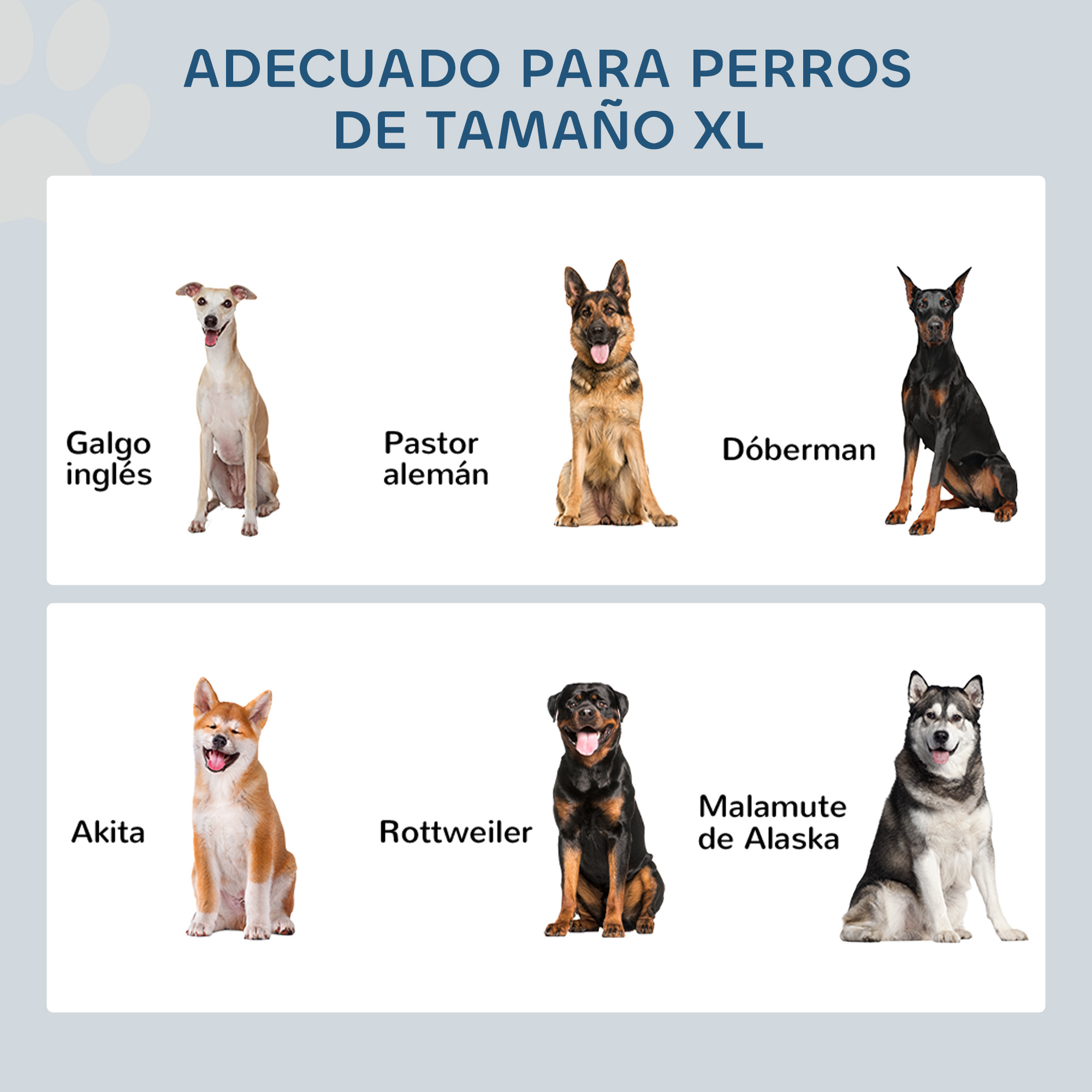 Seis perros: Galgo, Pastor Alemán, Dóberman, Akita, Rottweiler, Malamute.