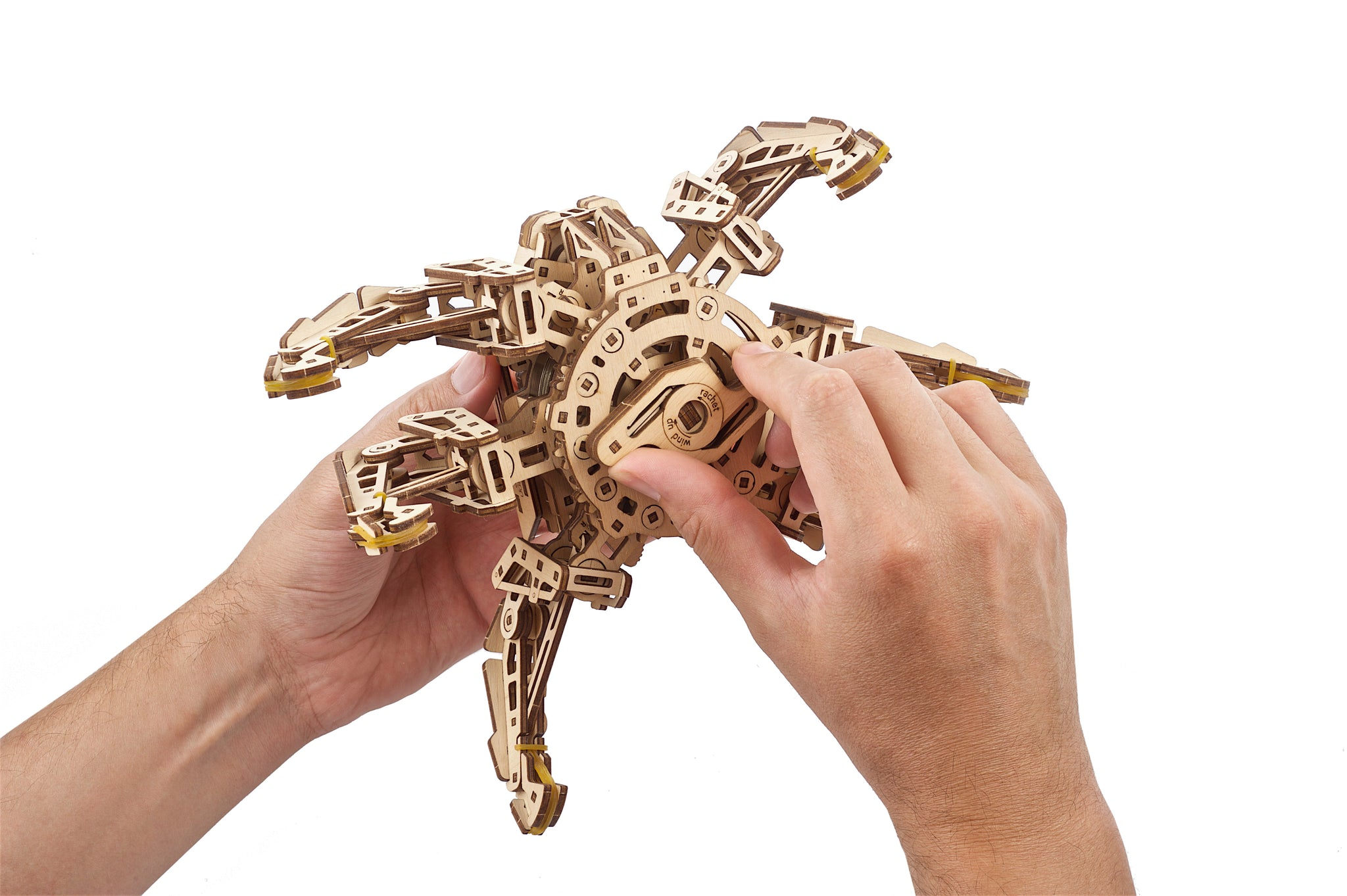Hände bauen ein Holzmodell eines Spinnenroboters mit Gummibändern.