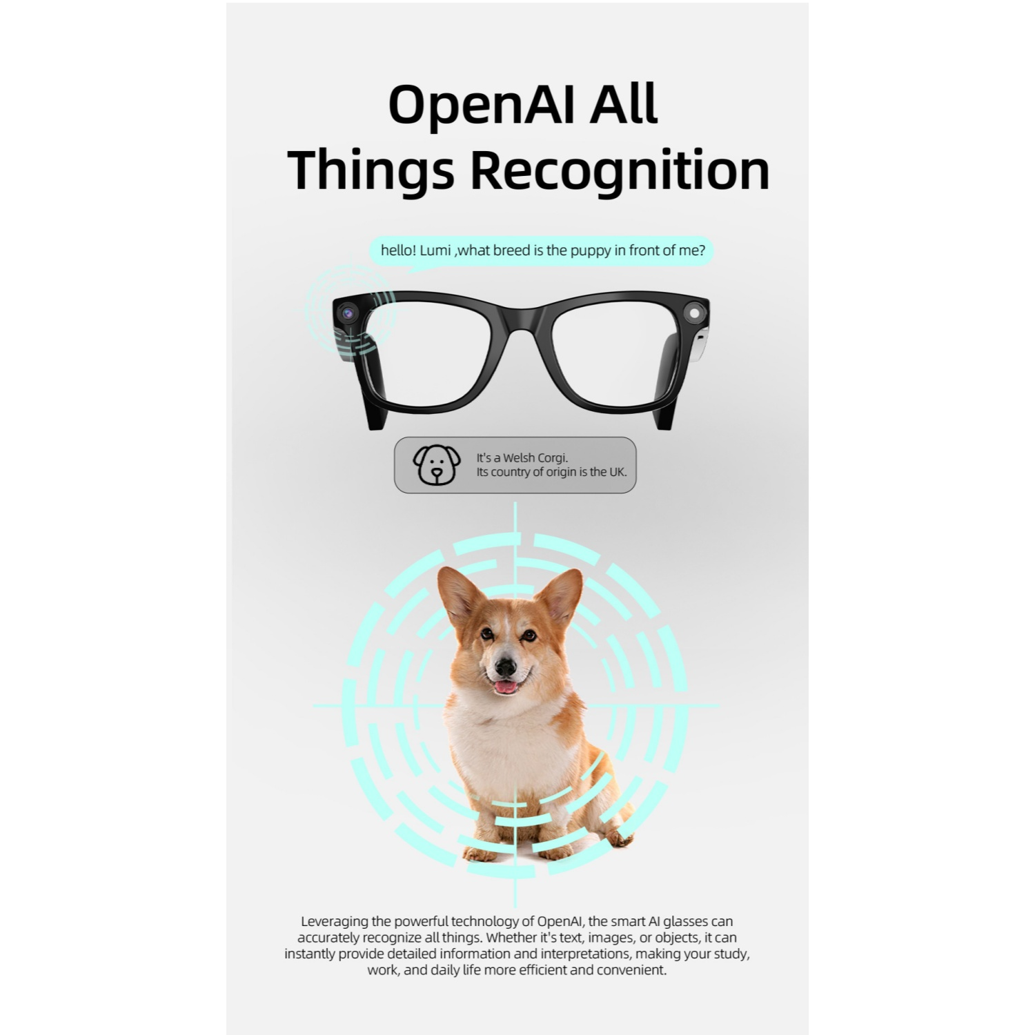 Ein Corgi sitzt in einem Fadenkreuz, über ihm eine Brille. KI-Erkennung.