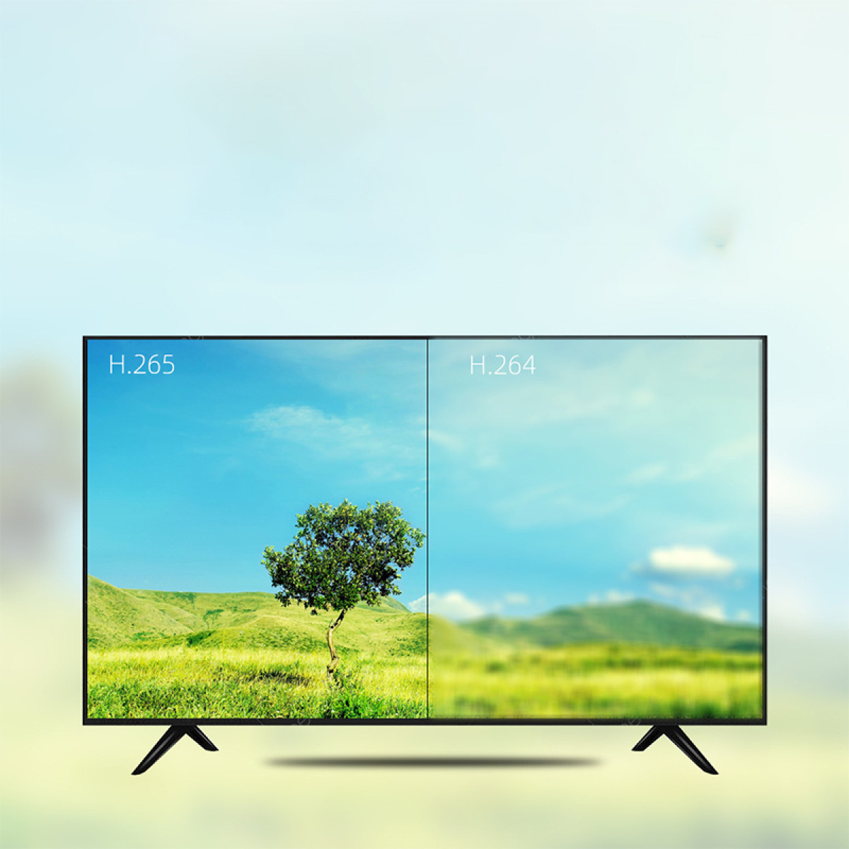 TV-Bildschirm zeigt H.265 vs H.264. Links klare Landschaft, rechts verschwommen.