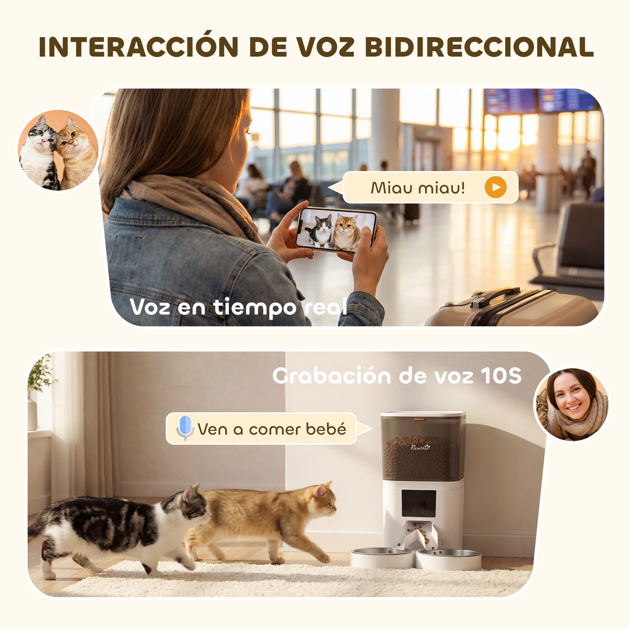 Dos gatos interactúan con un comedero para mascotas mediante voz bidireccional.