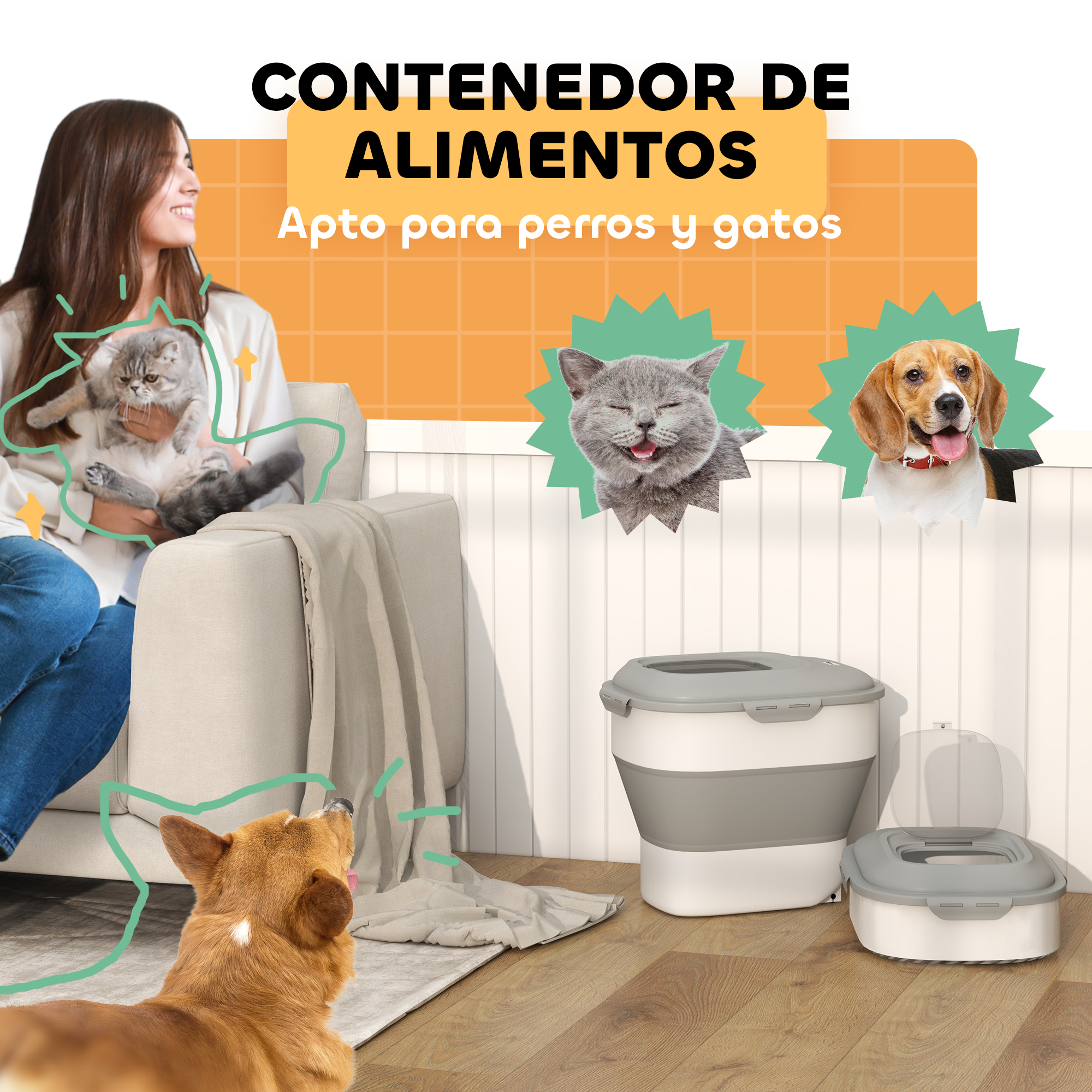 Mujer sostiene gato en sofá, perros y contenedores al frente.