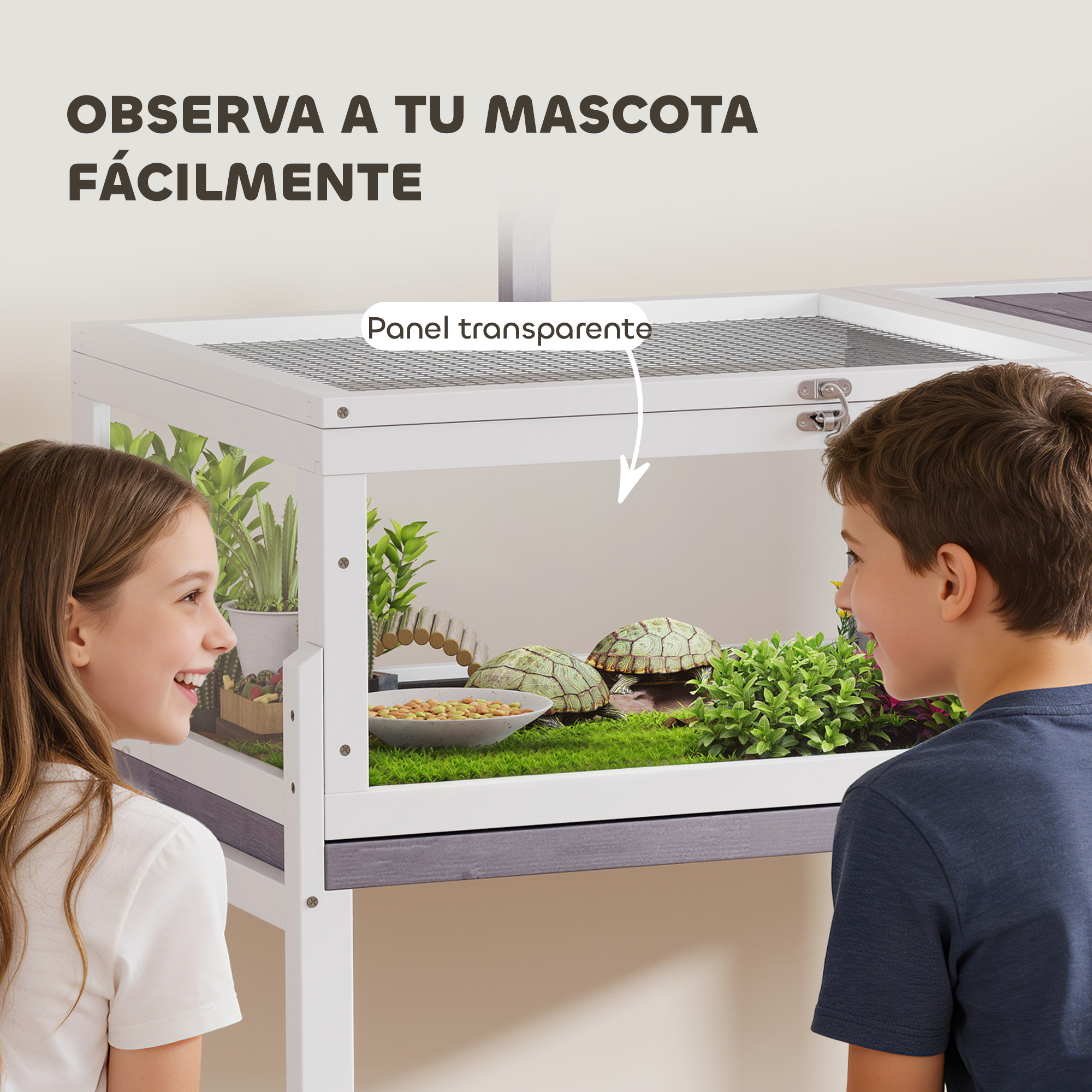 Niños observan tortugas en un terrario con plantas y comida.