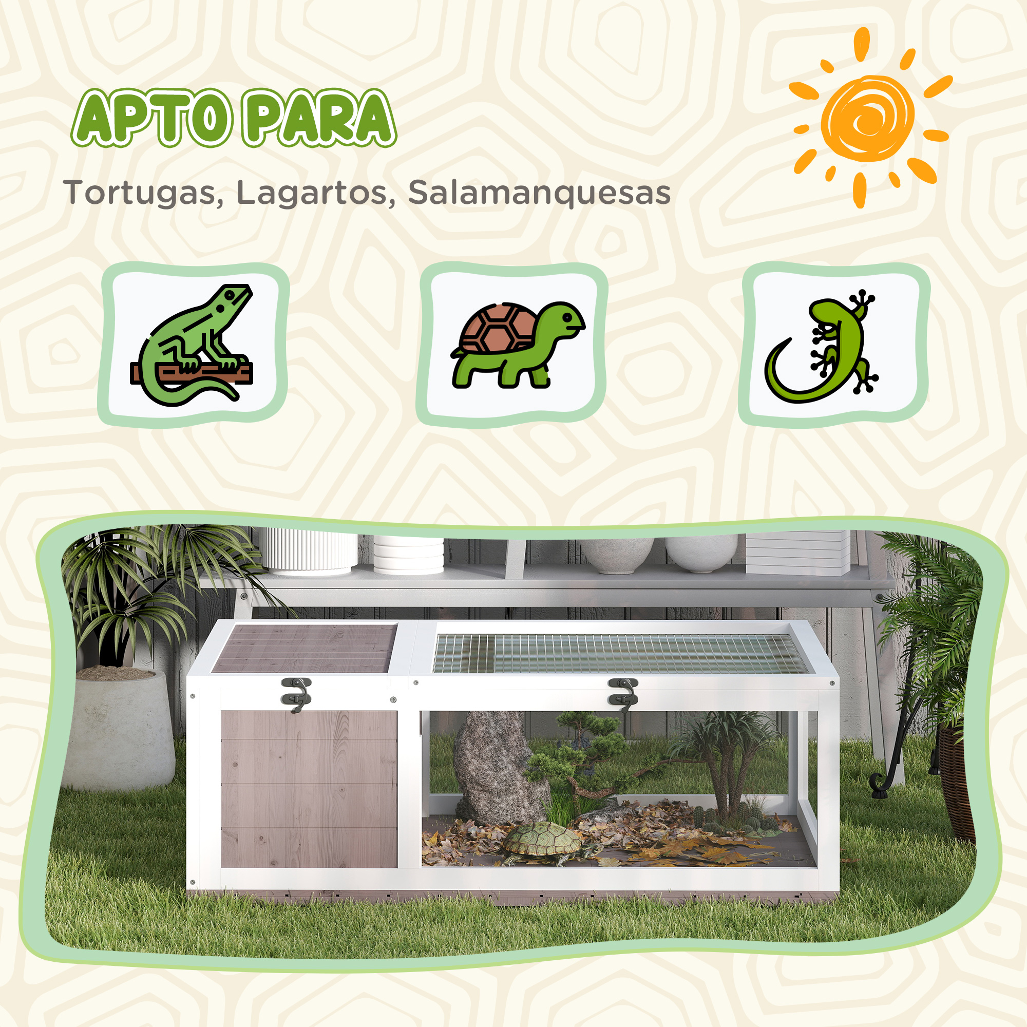 Terrario con tortuga, plantas y gráfico de sol. Apto para reptiles.