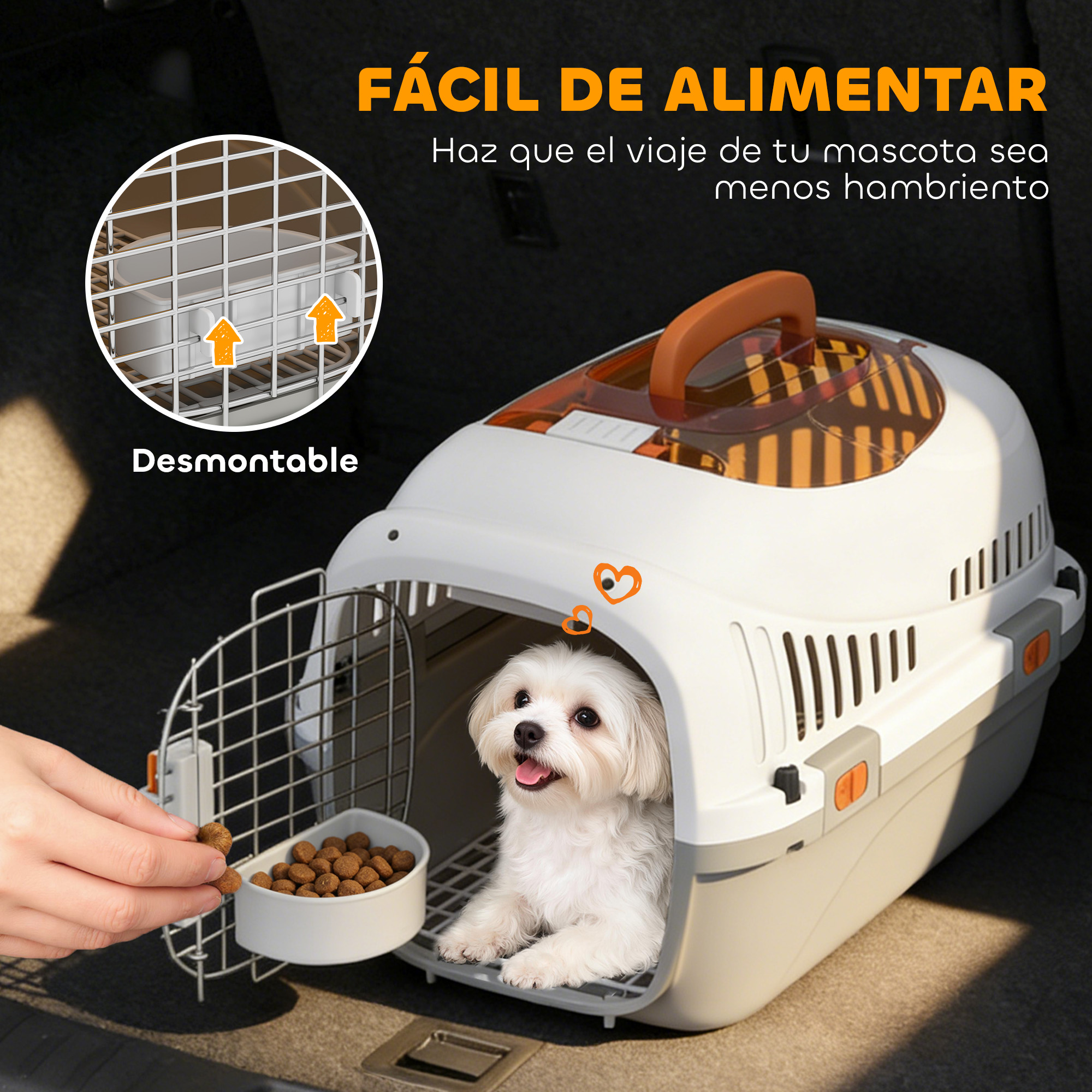 Un perro blanco en un transportín mientras una mano ofrece comida. Transportín en maletero.