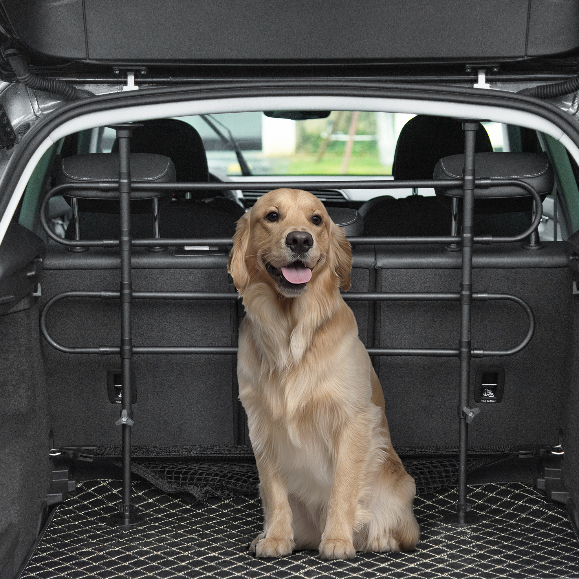 Un golden retriever se sienta tras una barrera en el maletero de un coche. Exterior visible.