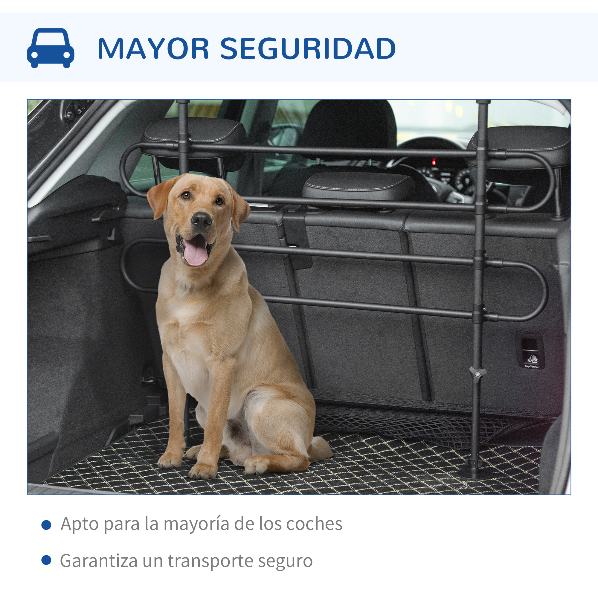 Un Labrador dorado sentado en el maletero de un coche tras una barrera.