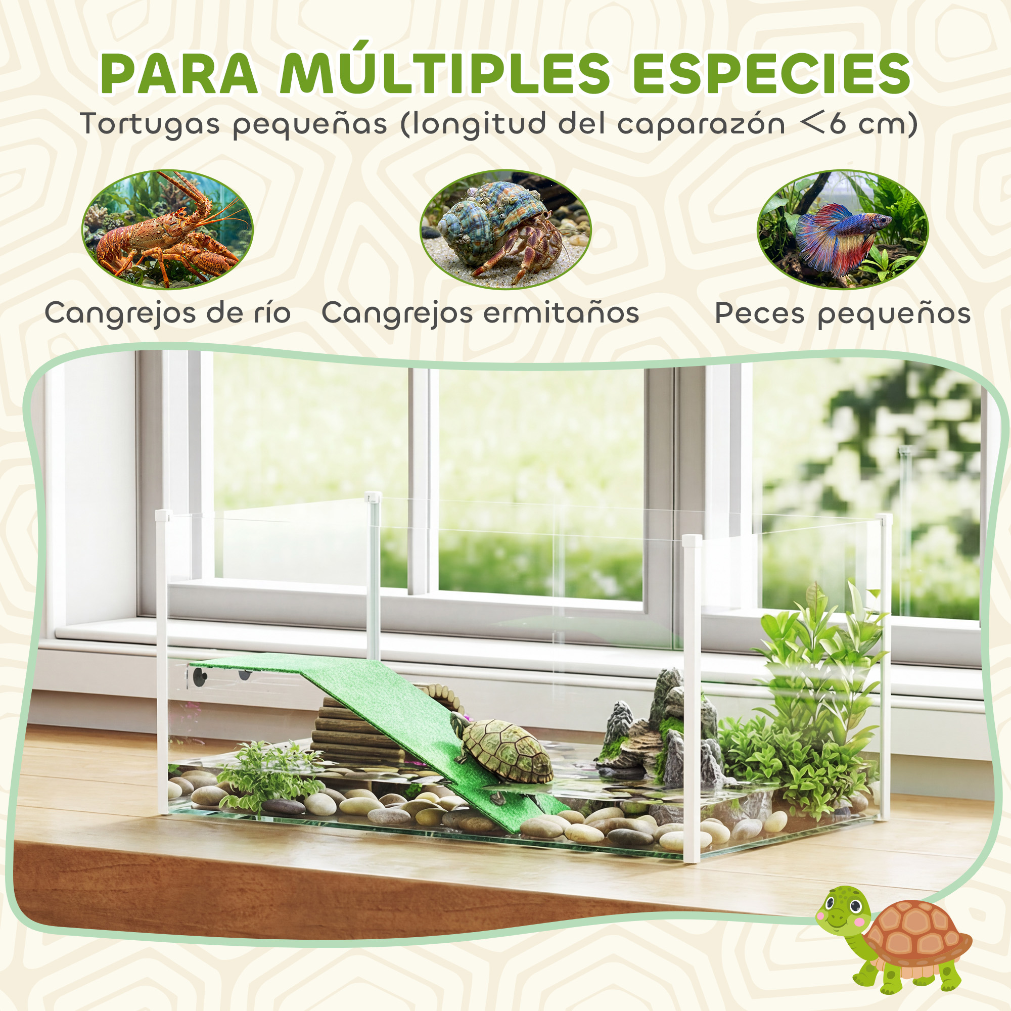 Un terrario con una tortuga, rocas y plantas. Arriba hay imágenes de cangrejos y peces.