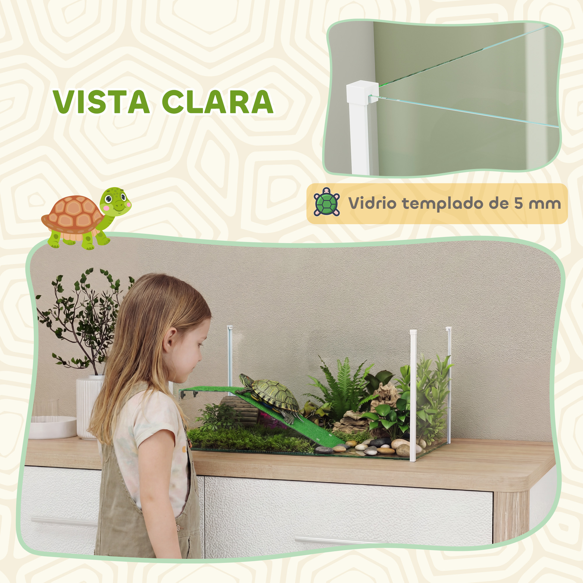 Una niña mira un recinto de tortugas con una tortuga en una rampa verde.