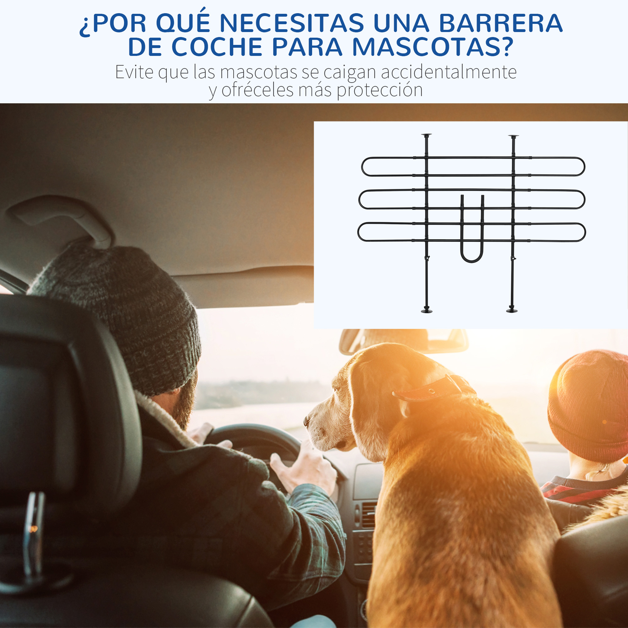 Un perro se sienta en un coche junto a un conductor, con una barrera al fondo.