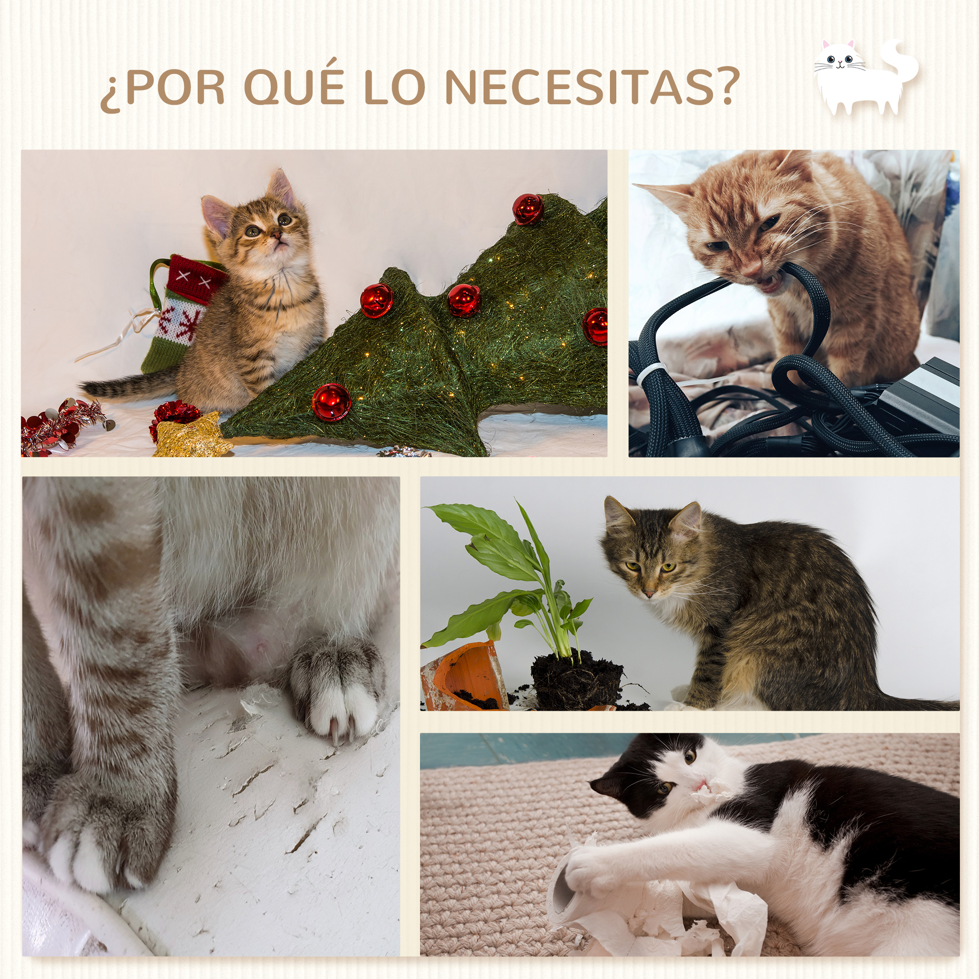 Gatito junto a árbol, gato mordiendo cables, patas, gato junto a planta, gato con papel.