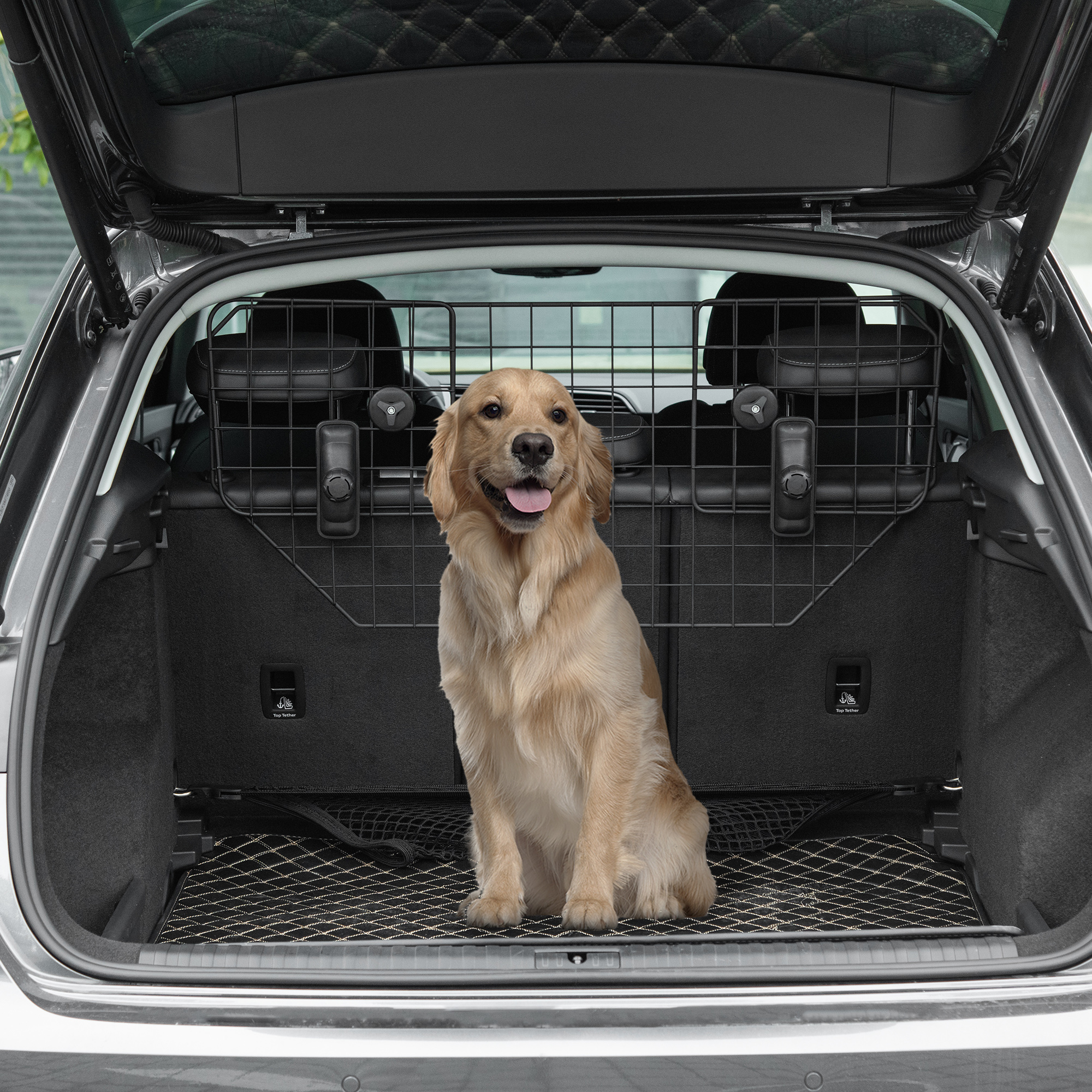 Un golden retriever se sienta en el maletero de un coche tras una barrera.