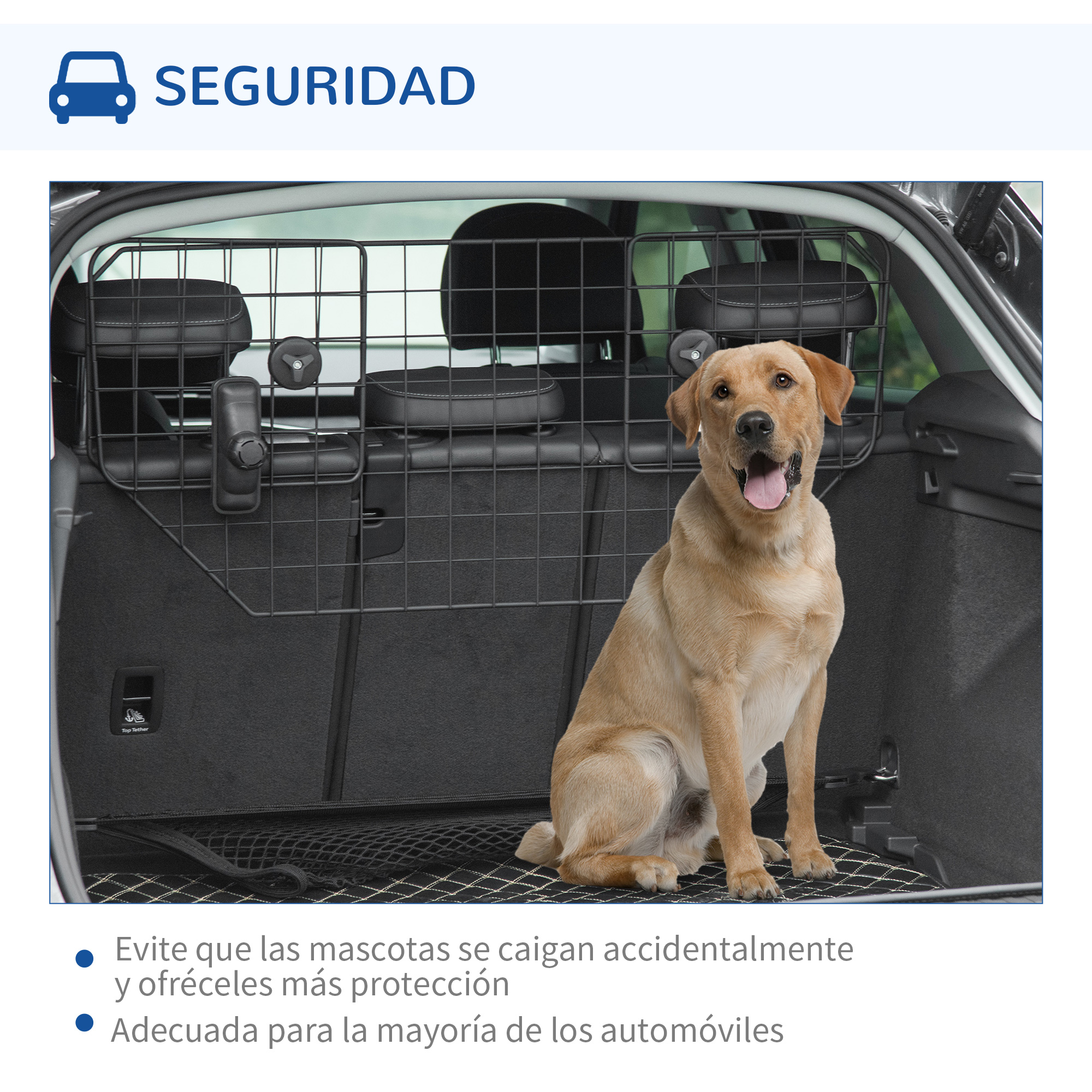 Un perro Labrador sentado en el maletero de un coche tras una barrera.