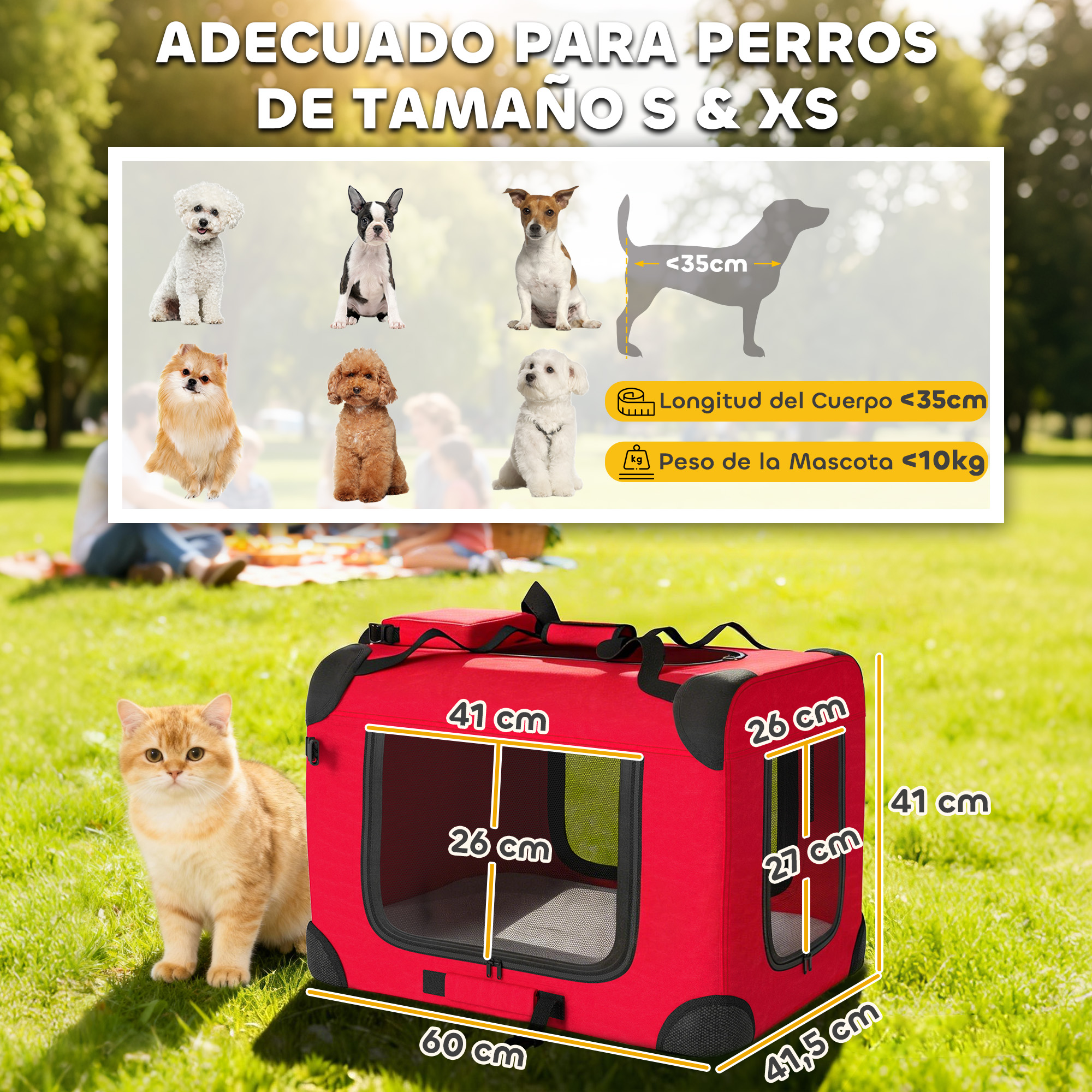 Transportín rojo con dimensiones mostradas y un gato sentado en el césped.