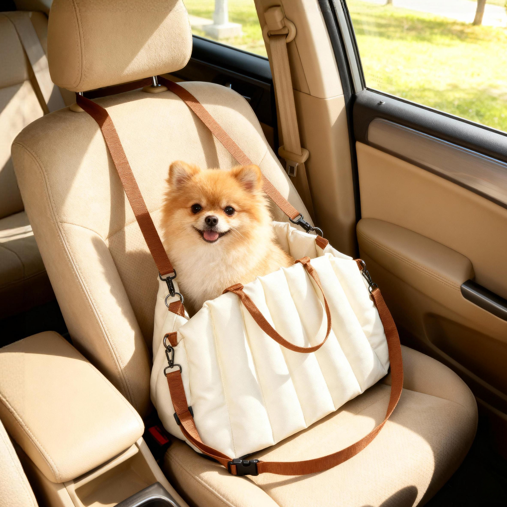 Un Pomerania se sienta en un bolso para coche en el asiento del copiloto.