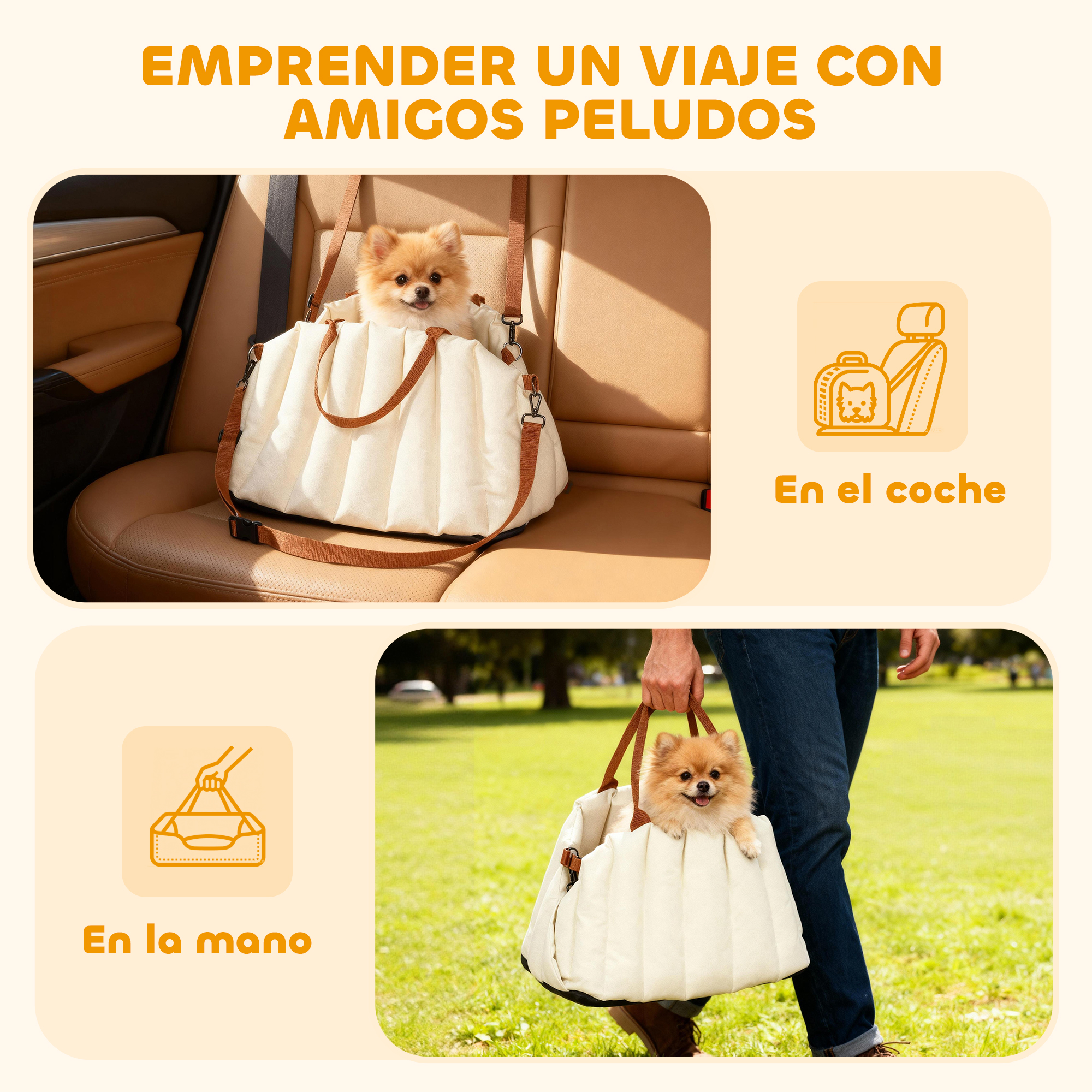 Un Pomerania en un bolso dentro de un coche y llevado fuera.