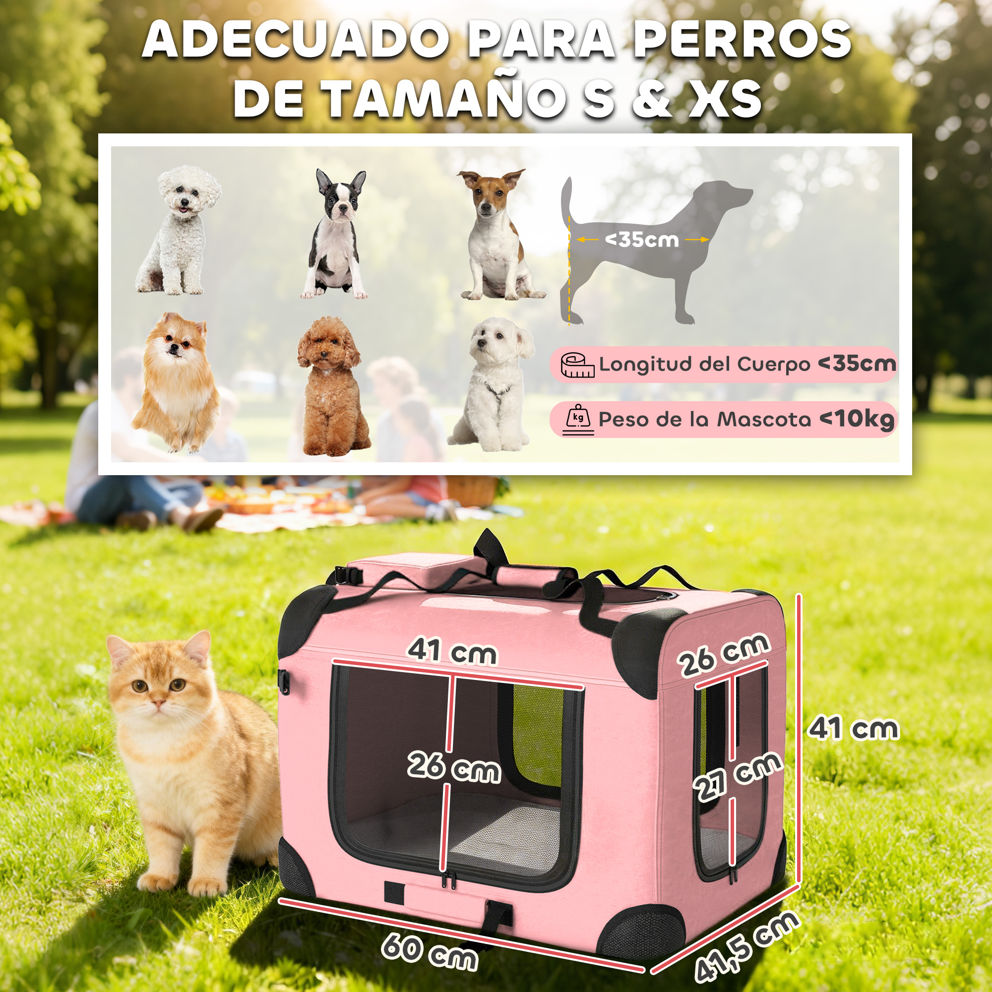 Un transportín rosa con medidas y un gato delante.