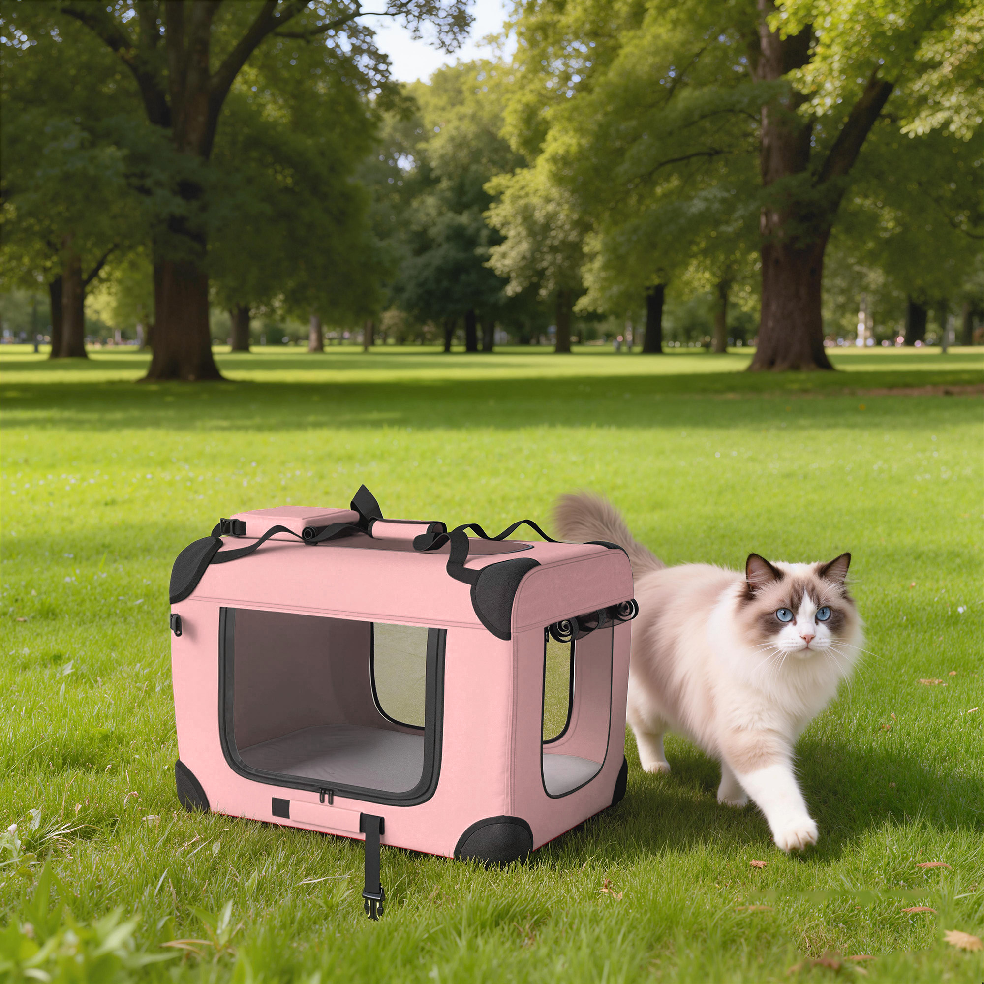 Un transportín rosa sobre césped verde junto a un gato de ojos azules.