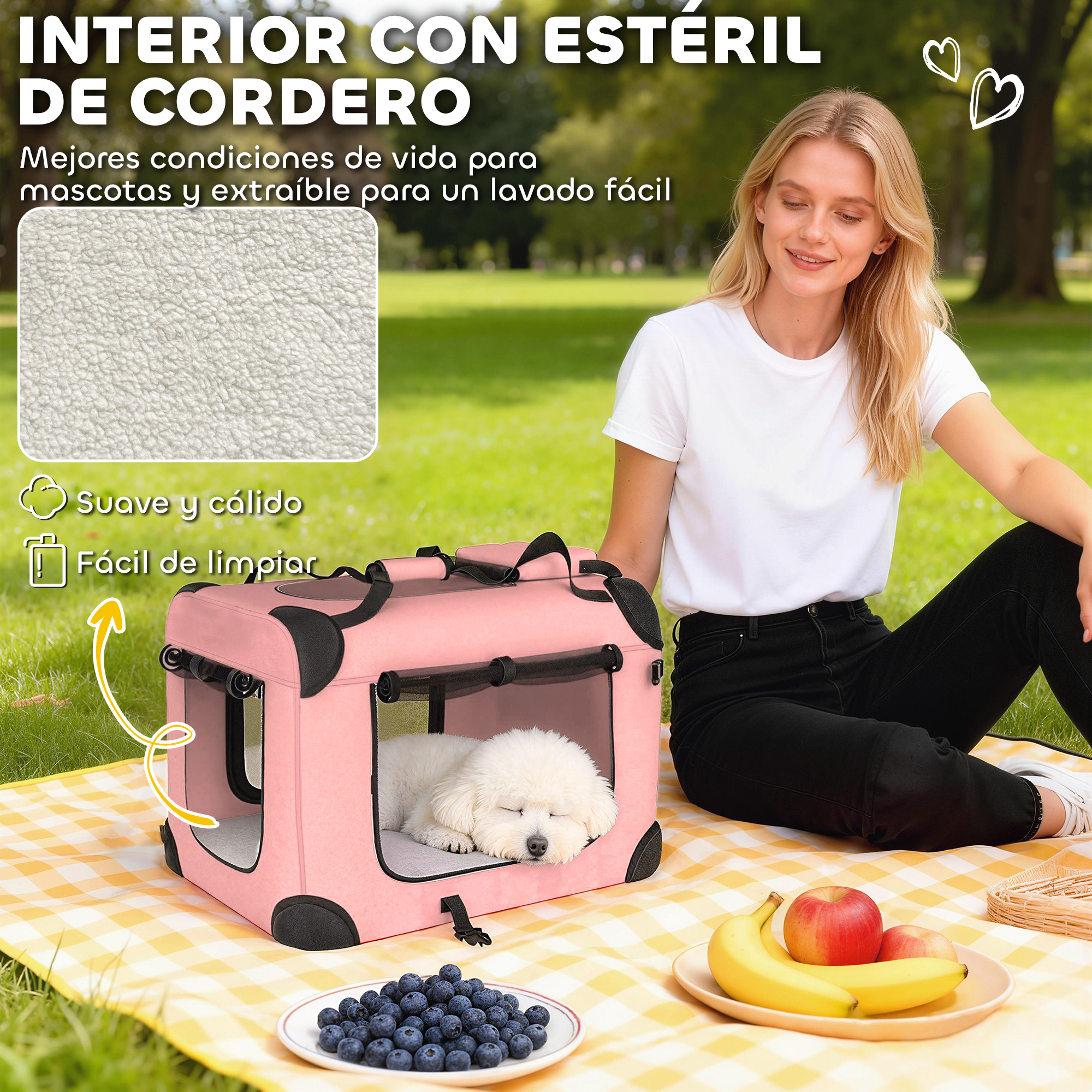 Una mujer sentada en una manta al aire libre junto a un transportín rosa con un perro durmiendo.