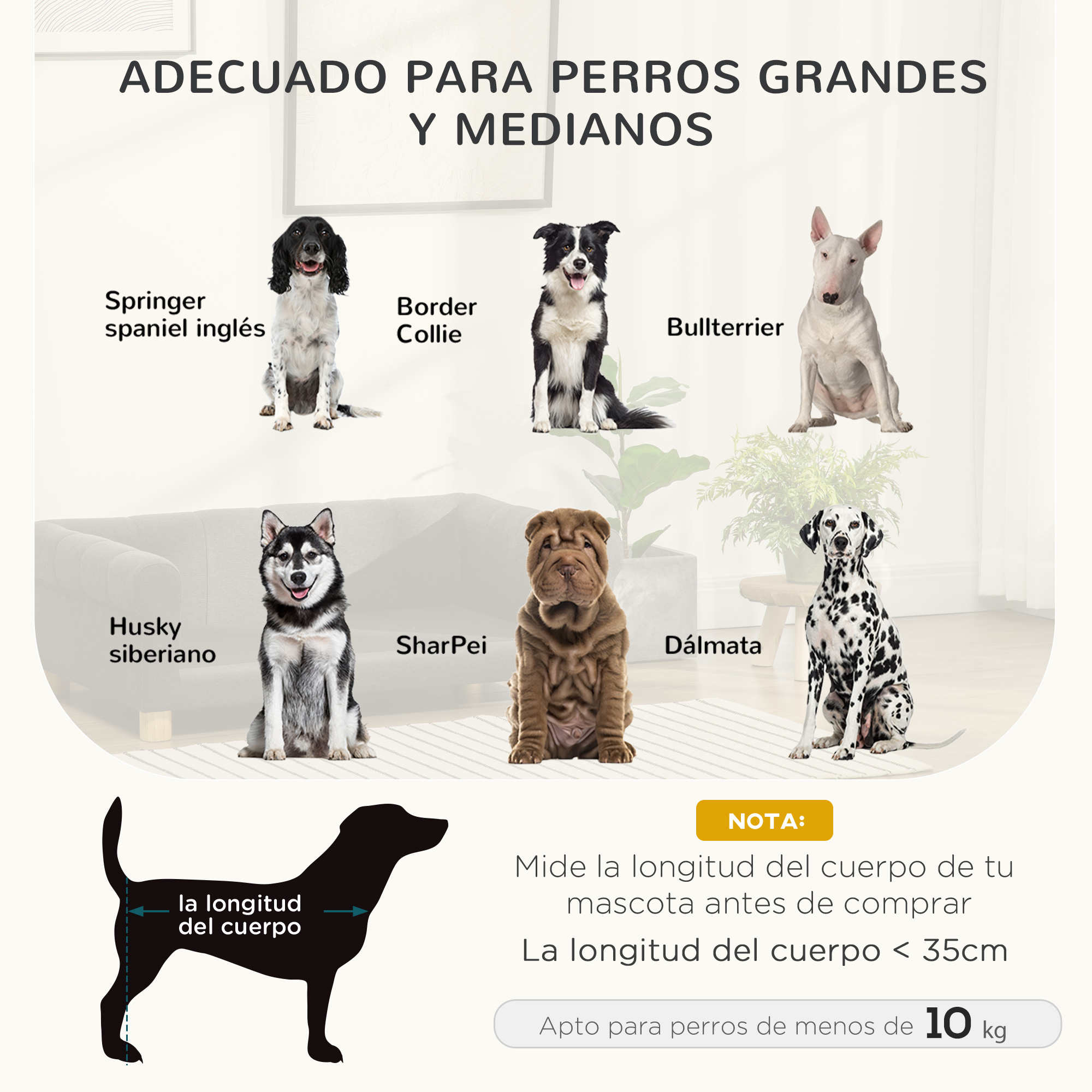 Ilustración de perros: Springer Spaniel, Border Collie, Bullterrier, Husky, Shar Pei, Dálmata.