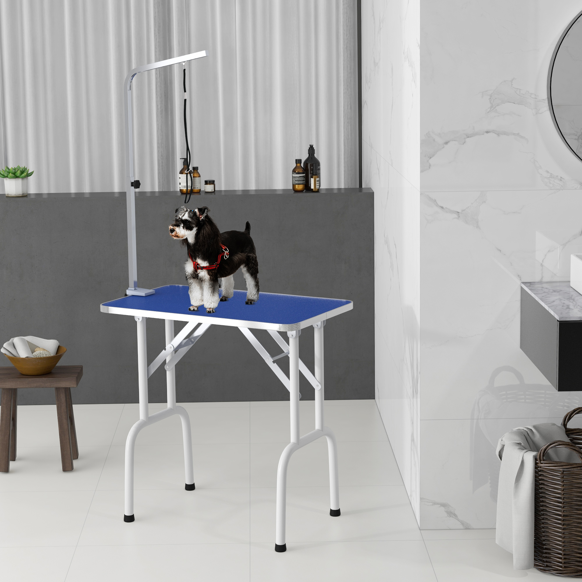 Un schnauzer blanco y negro está sobre una mesa azul con brazo de aseo.