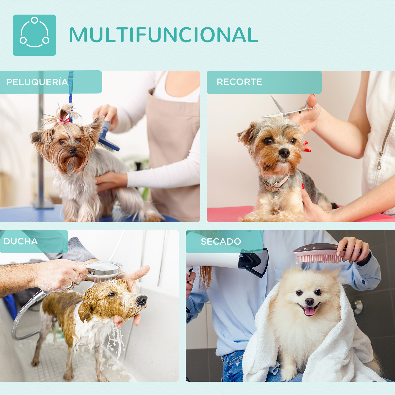 Cuatro escenas de peluquería canina: cepillado, corte, ducha y secado.