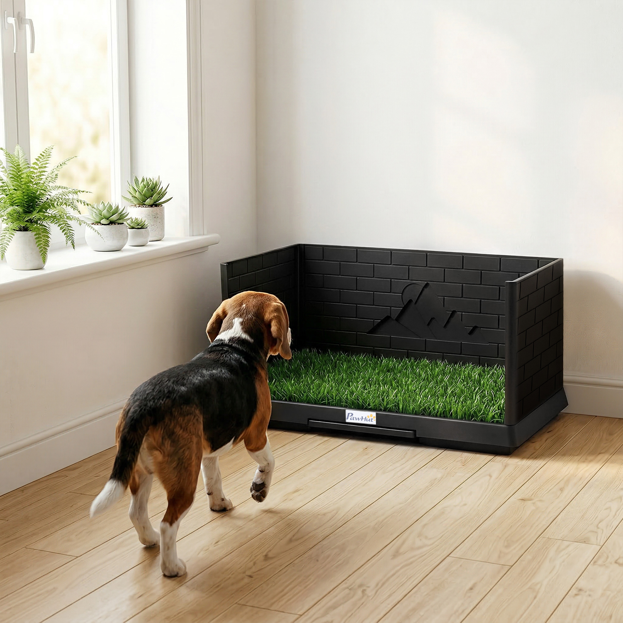 Un beagle se acerca a un orinal para perros con césped artificial en una habitación.