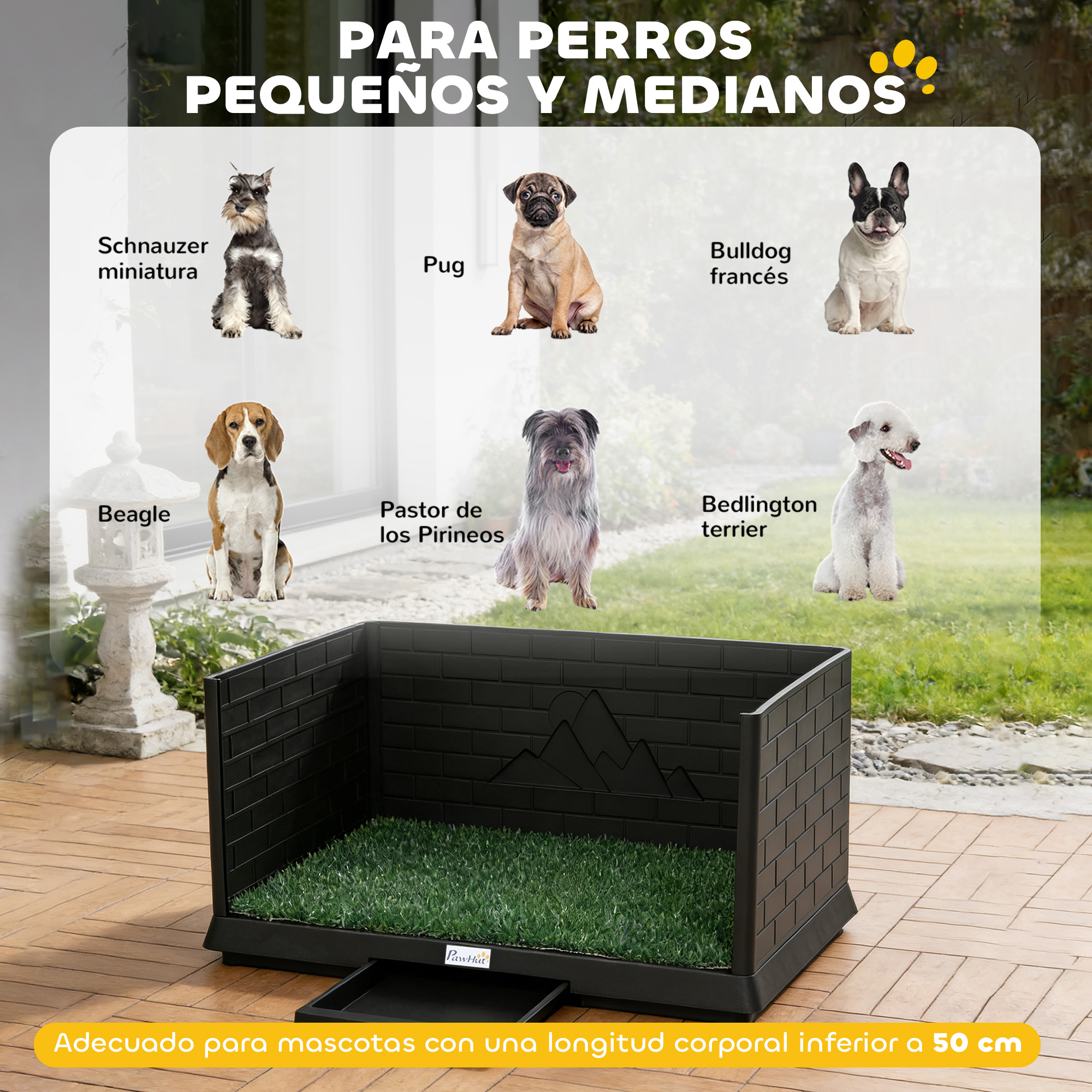 Seis perros y un orinal para perros sobre tarimas de madera. Para perros pequeños/medianos.