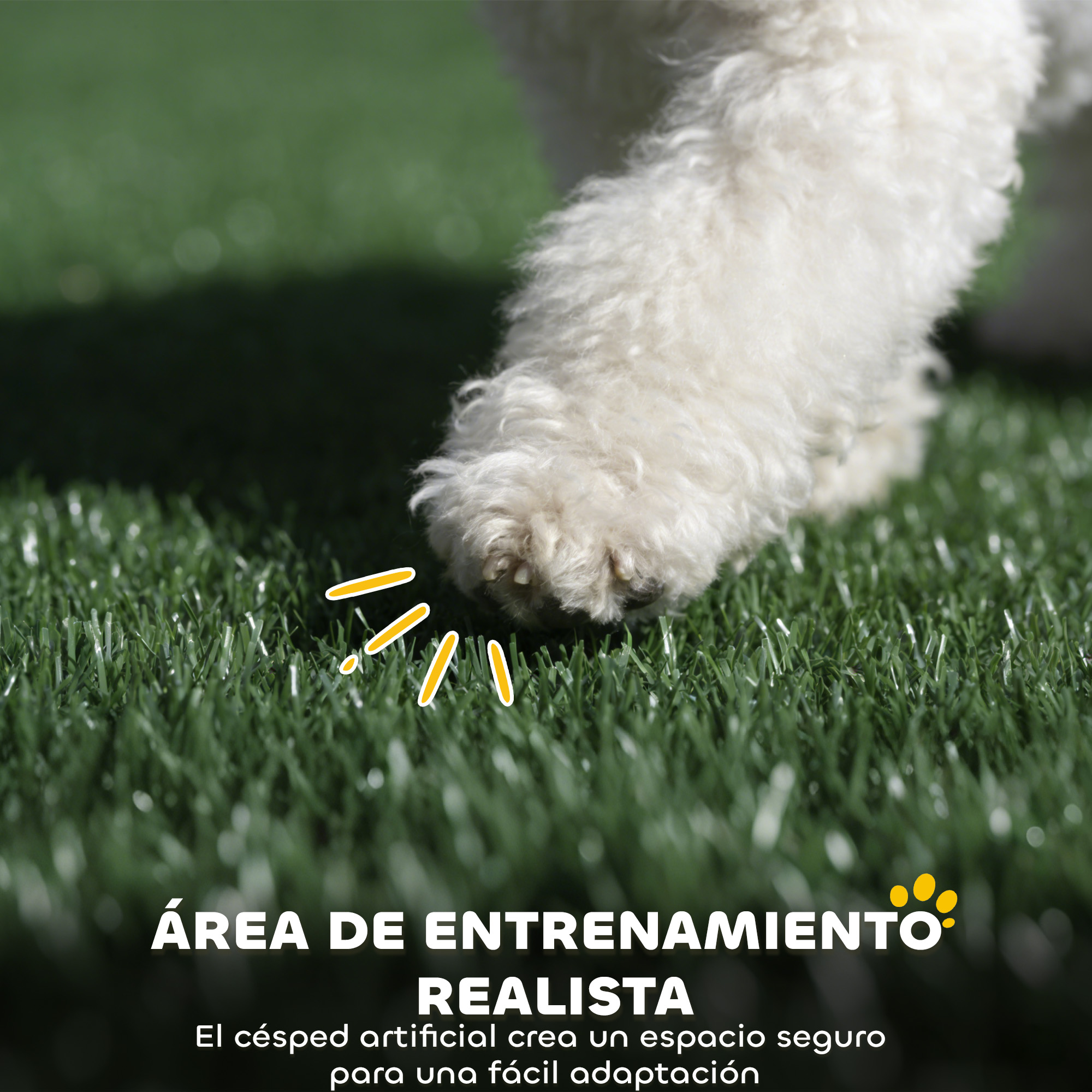 Pata de perro blanco sobre césped artificial verde con marcas amarillas.