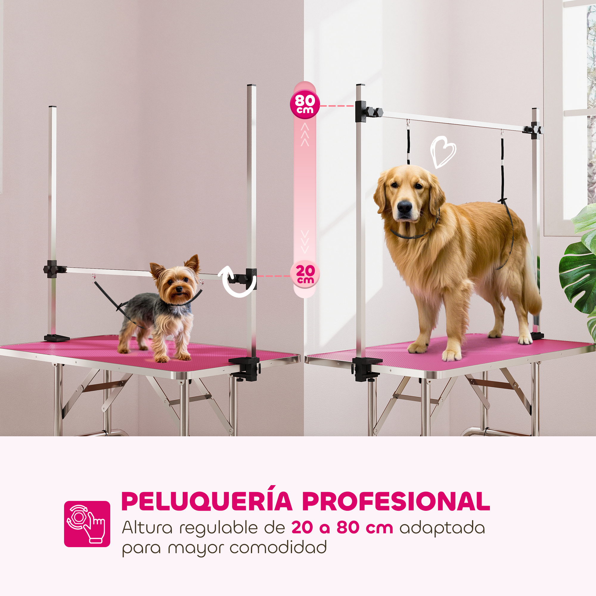 Un Yorkshire Terrier y un Golden Retriever en mesas de peluquería rosas. Altura ajustable.