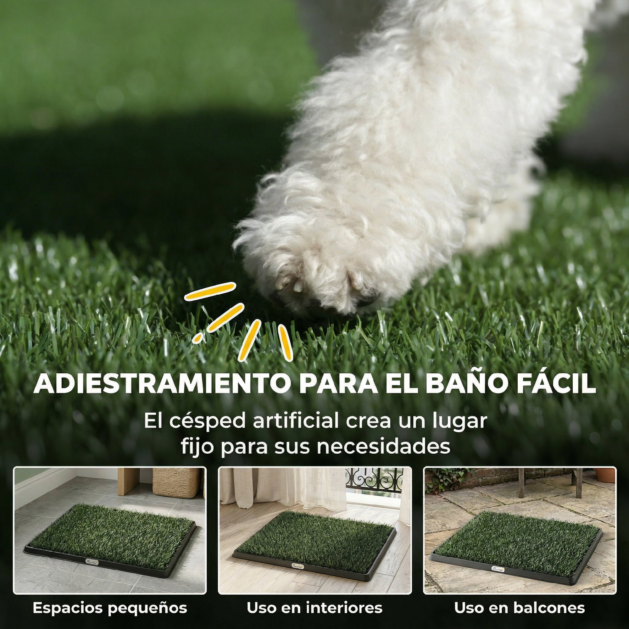 Primer plano de la pata de un perro sobre césped artificial con tres escenarios.