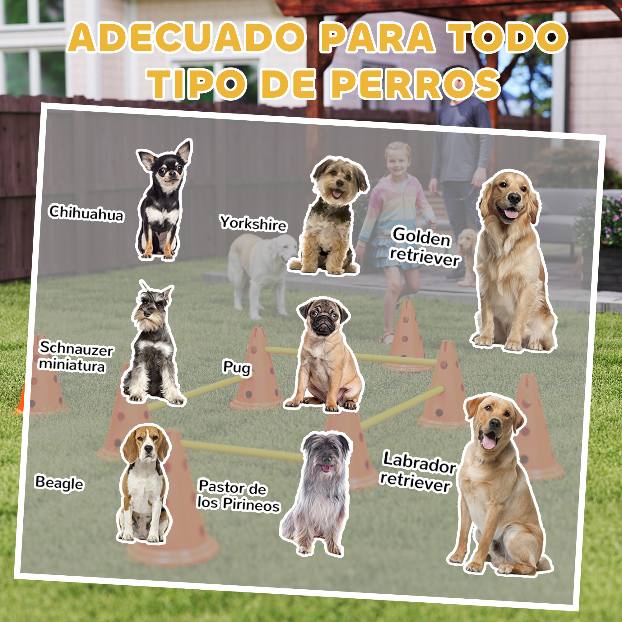 Un collage de varias razas de perros y sus nombres en un césped.