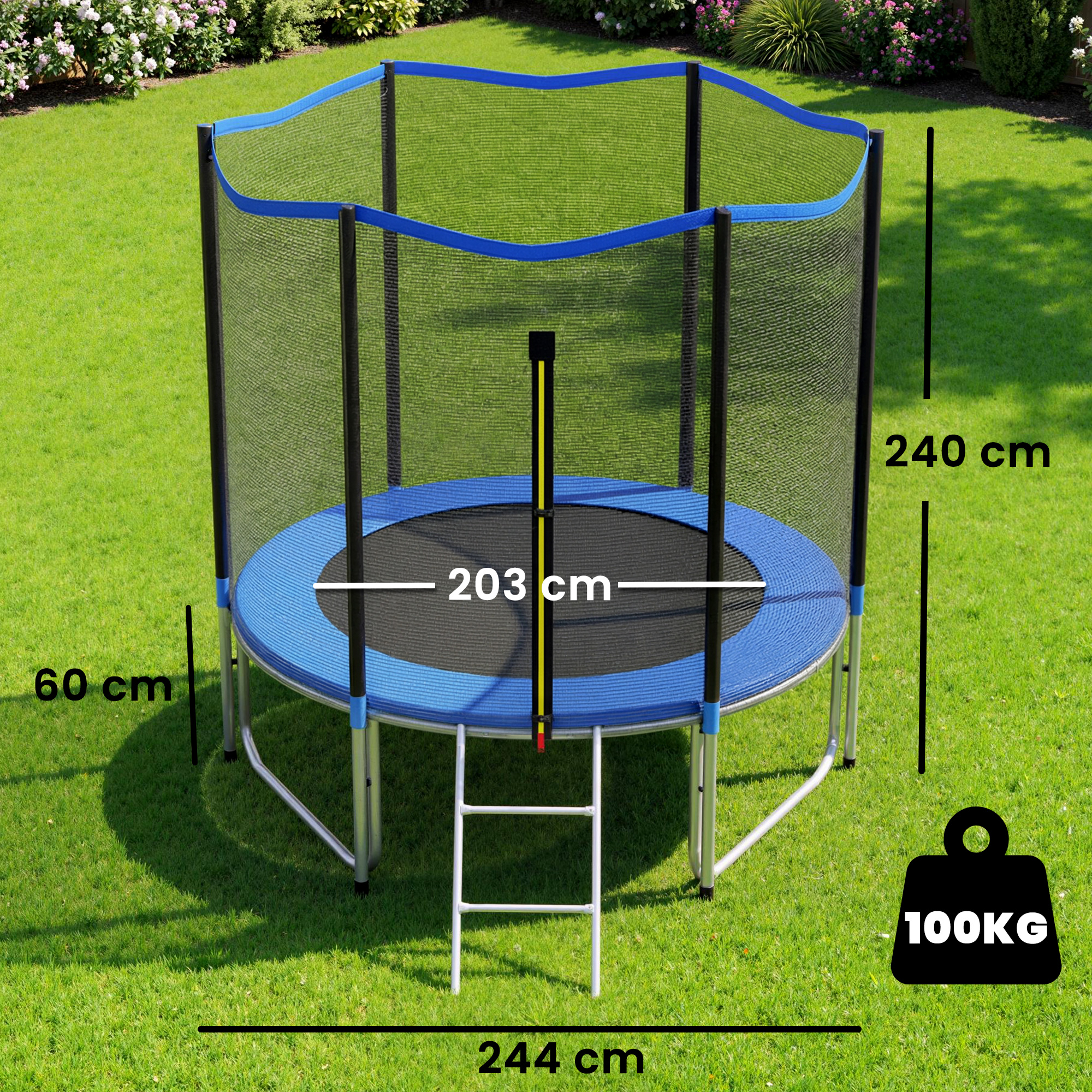 Cama elástica con red de seguridad, escalera y medidas: 244cm diámetro, 203cm superficie de salto, 240cm altura.