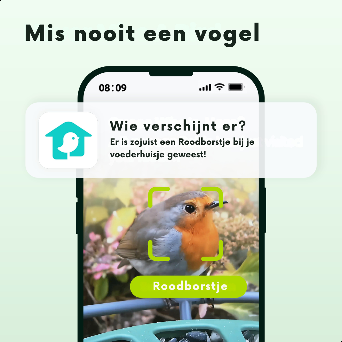 Un petirrojo se muestra en la pantalla de un móvil con una app.