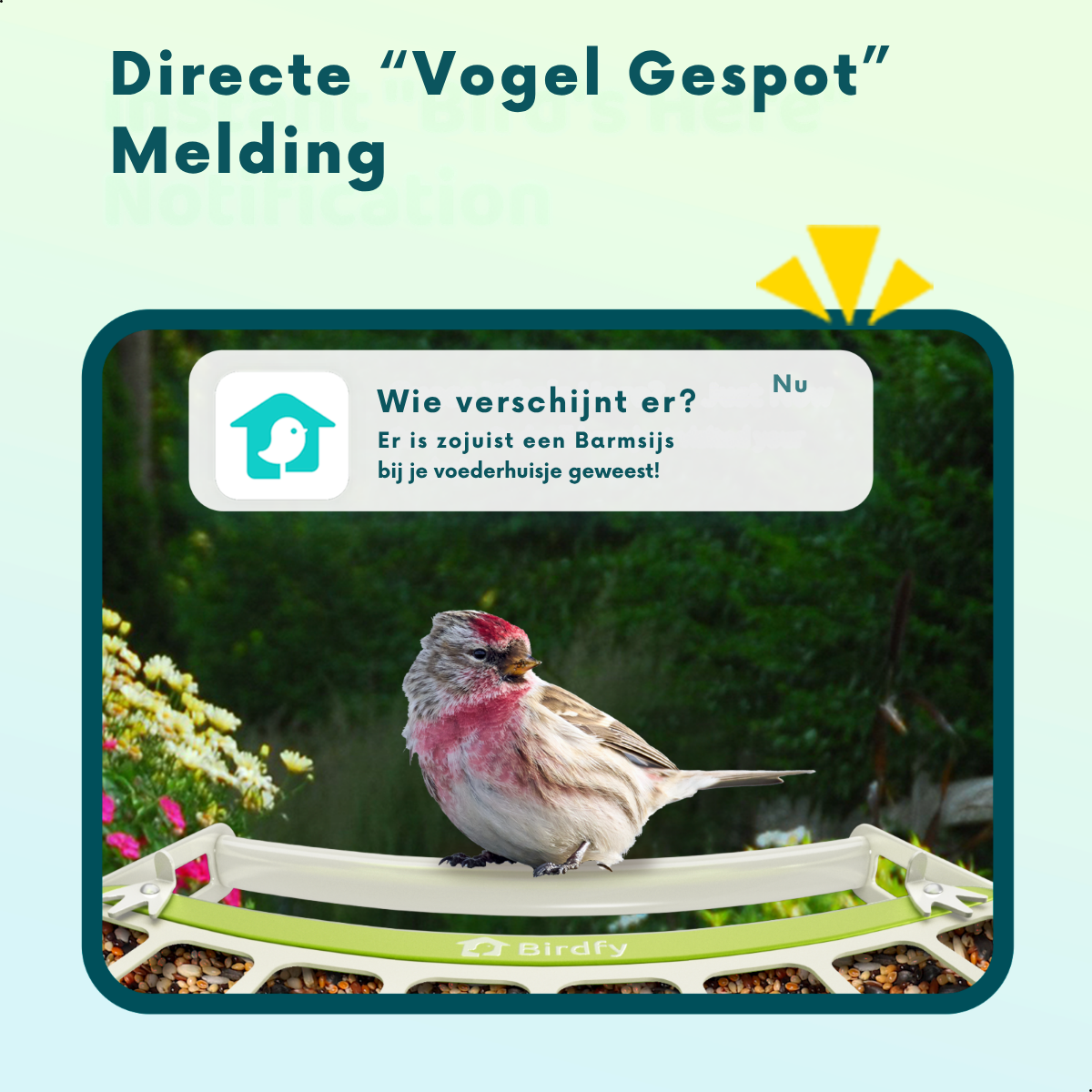 Un pájaro en un comedero. Notificación: Se ha visto un pardillo común.