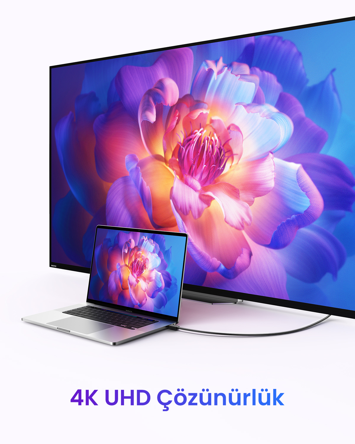 Bir çiçek gösteren büyük bir TV ekranının önünde bir dizüstü bilgisayar duruyor.