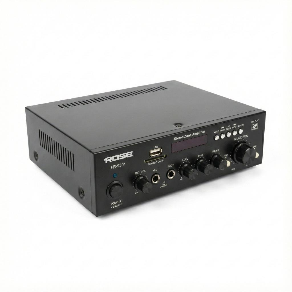 Siyah Rose FR-9301 Stereo Alan Yükseltici düğmeler ve USB bağlantı noktası.