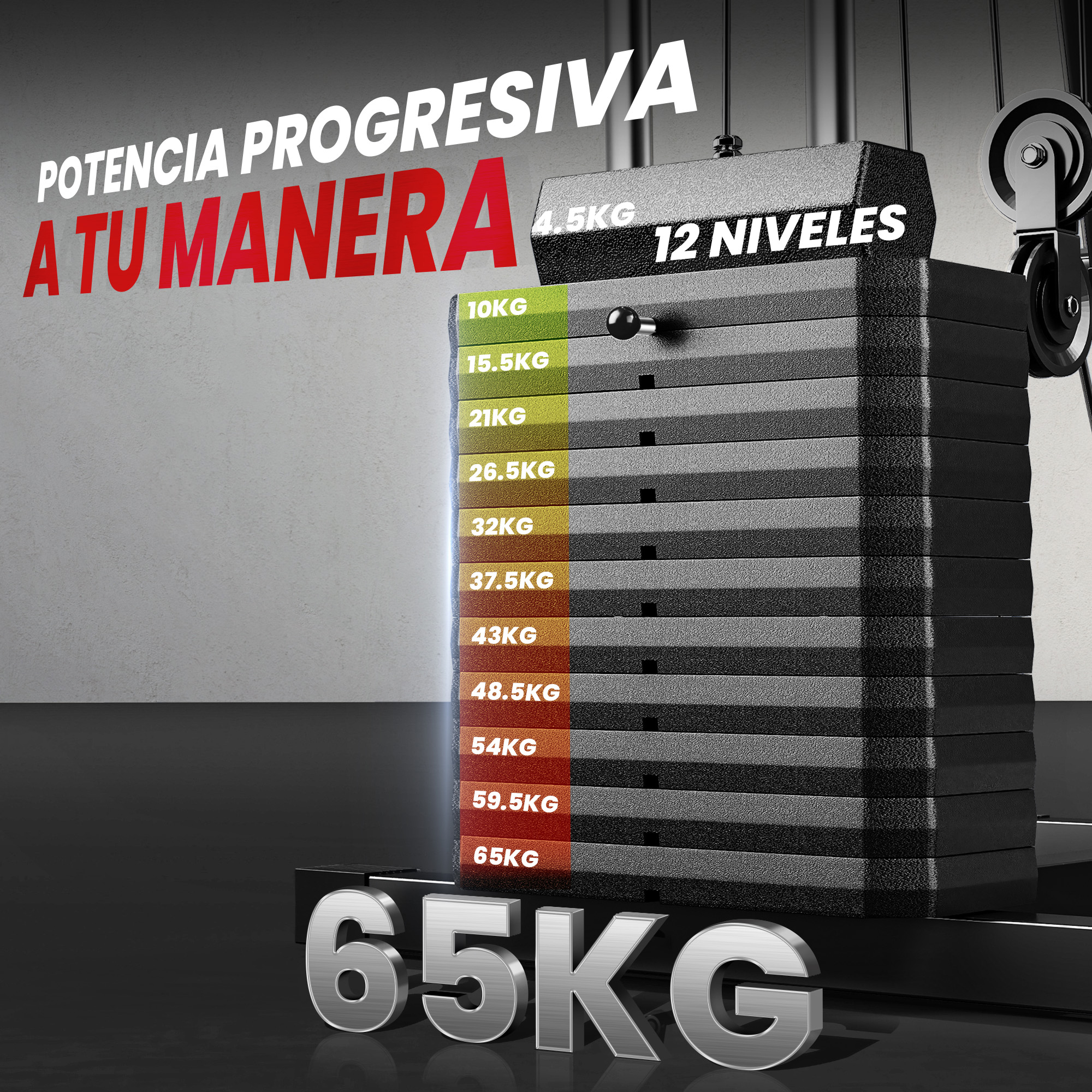 Una pila de pesas de 65 kg con varias placas y pesas.