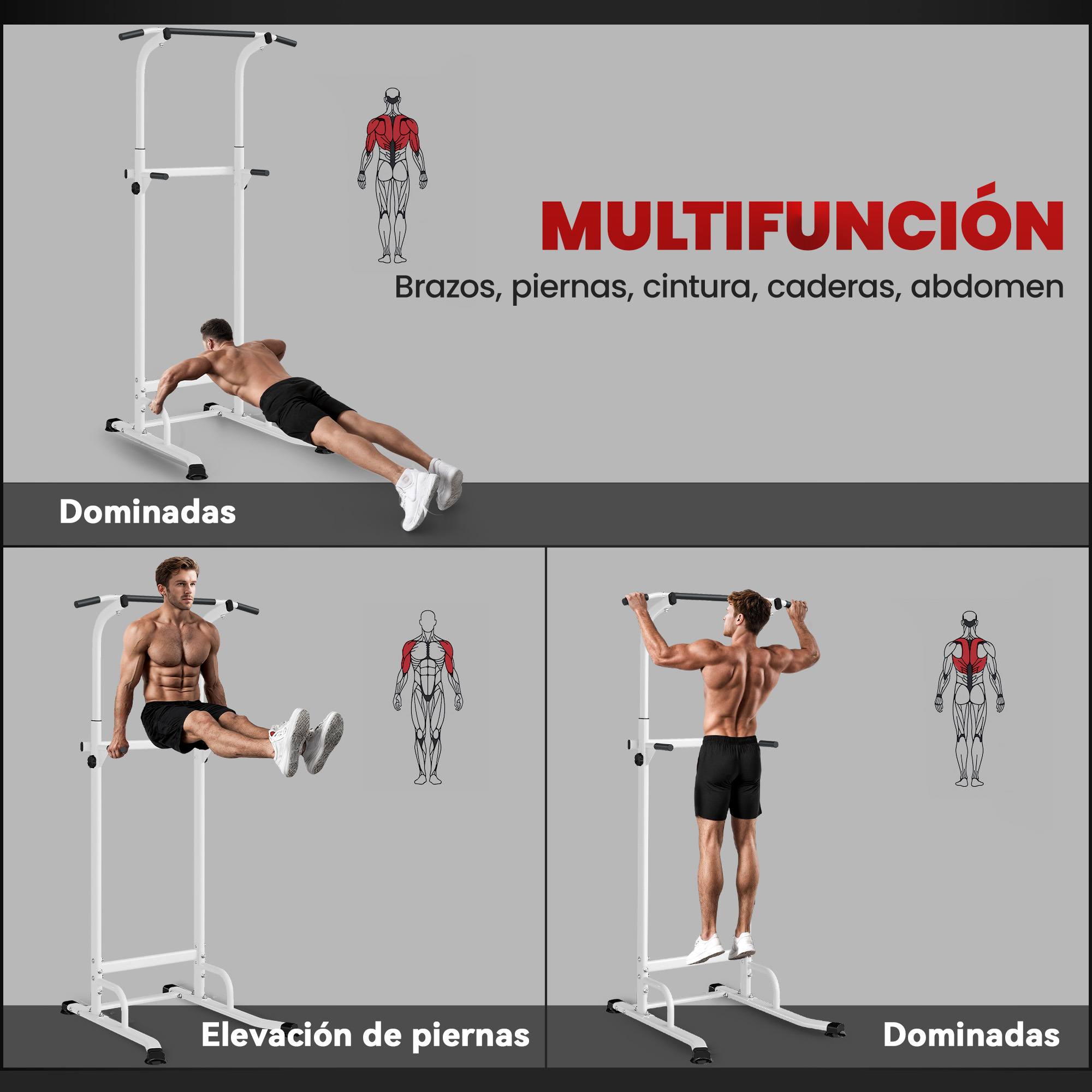 Un hombre hace dominadas en una estación de ejercicios blanca. Un diagrama muscular al lado.