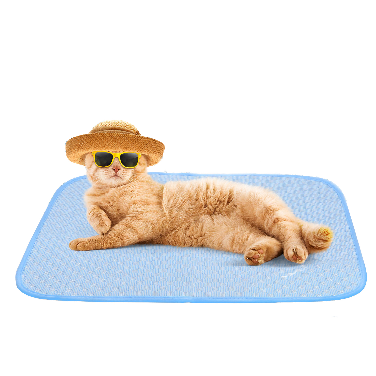 Un gato naranja con sombrero y gafas de sol yace sobre una alfombra azul.