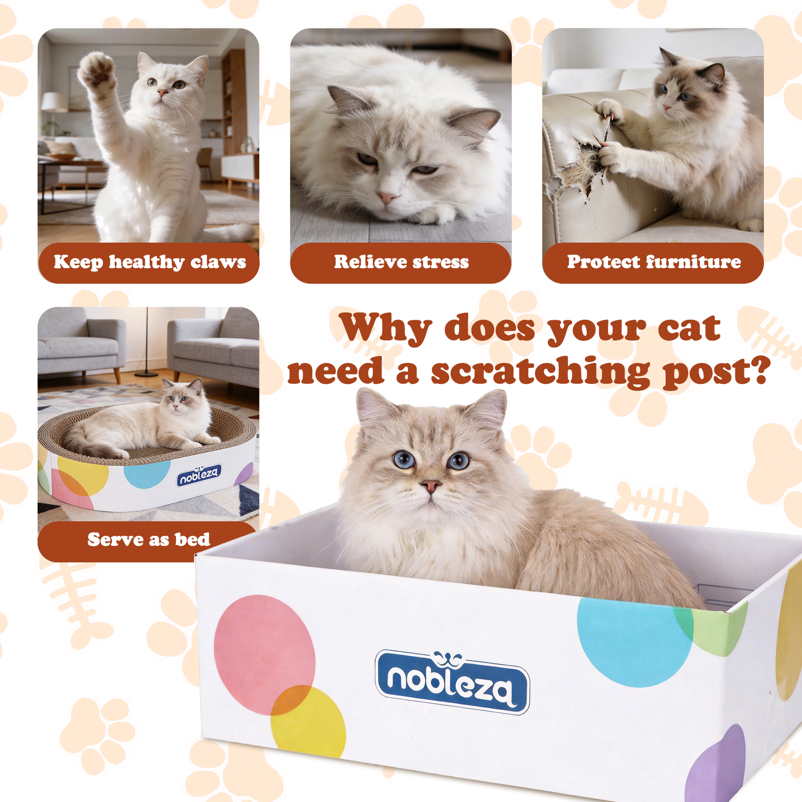 Gato con ojos azules en una caja, rodeado de motivos de gato.
