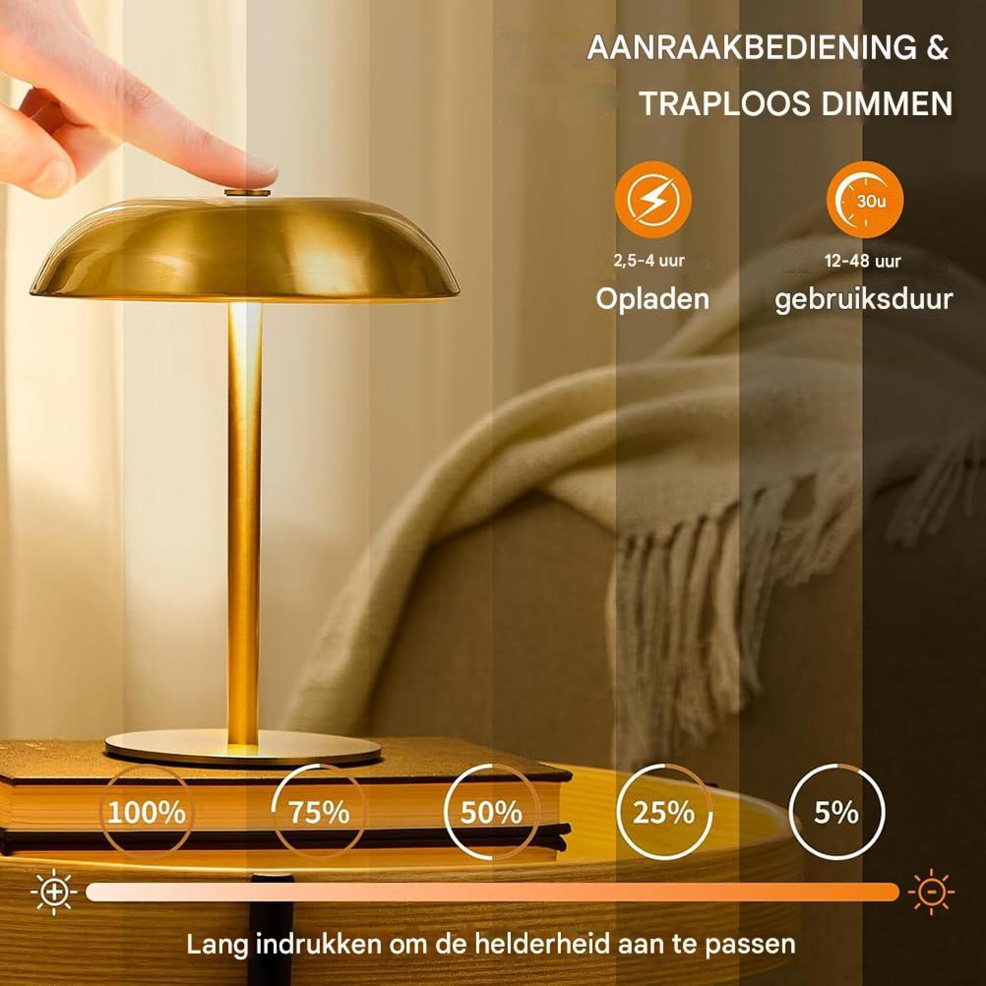 Moderne Lampe mit Touch-Steuerung und stufenloser Dimmung. Ladezeit 2,5-4 Std.