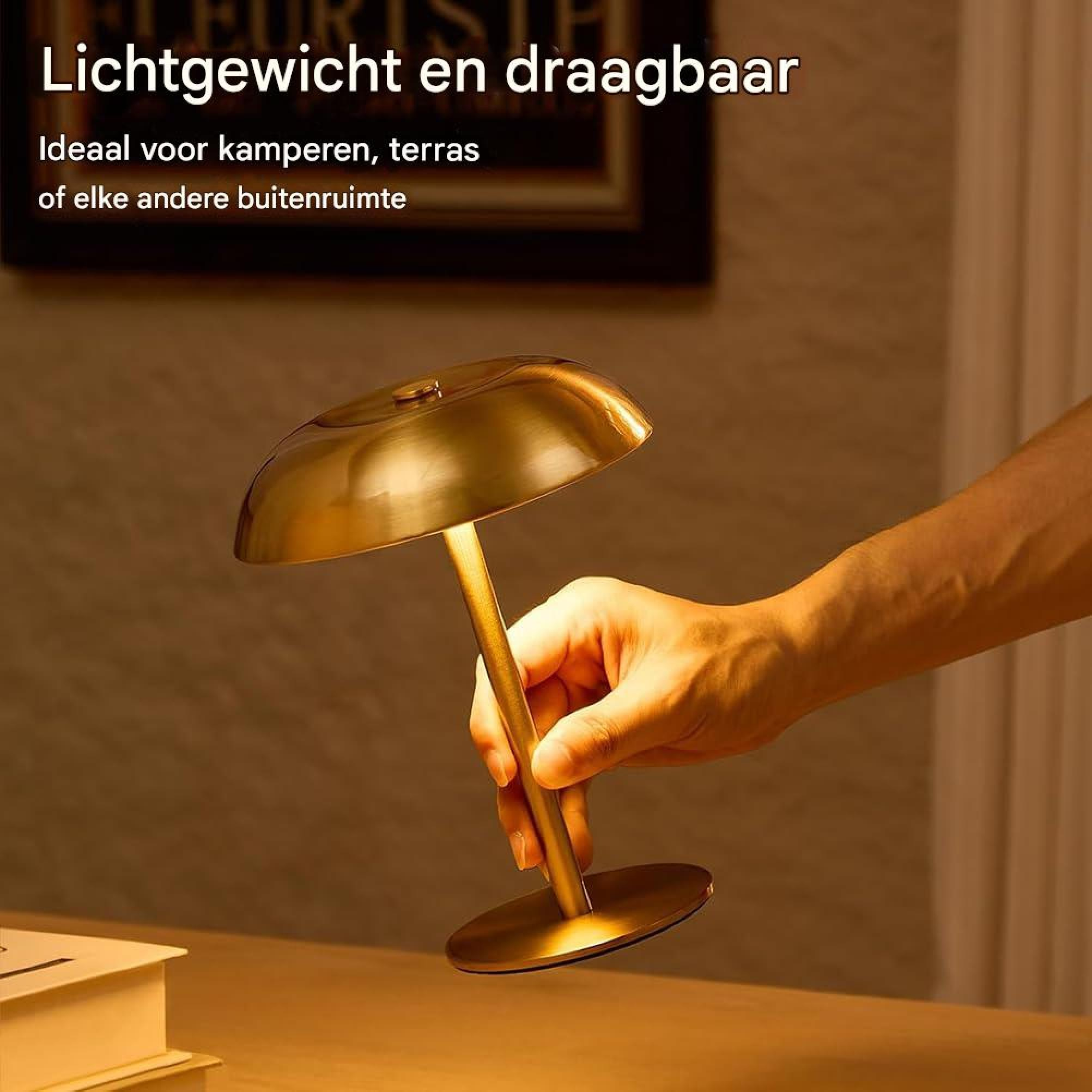 Eine goldene Lampe wird von einer Hand auf einem Holztisch gehalten.