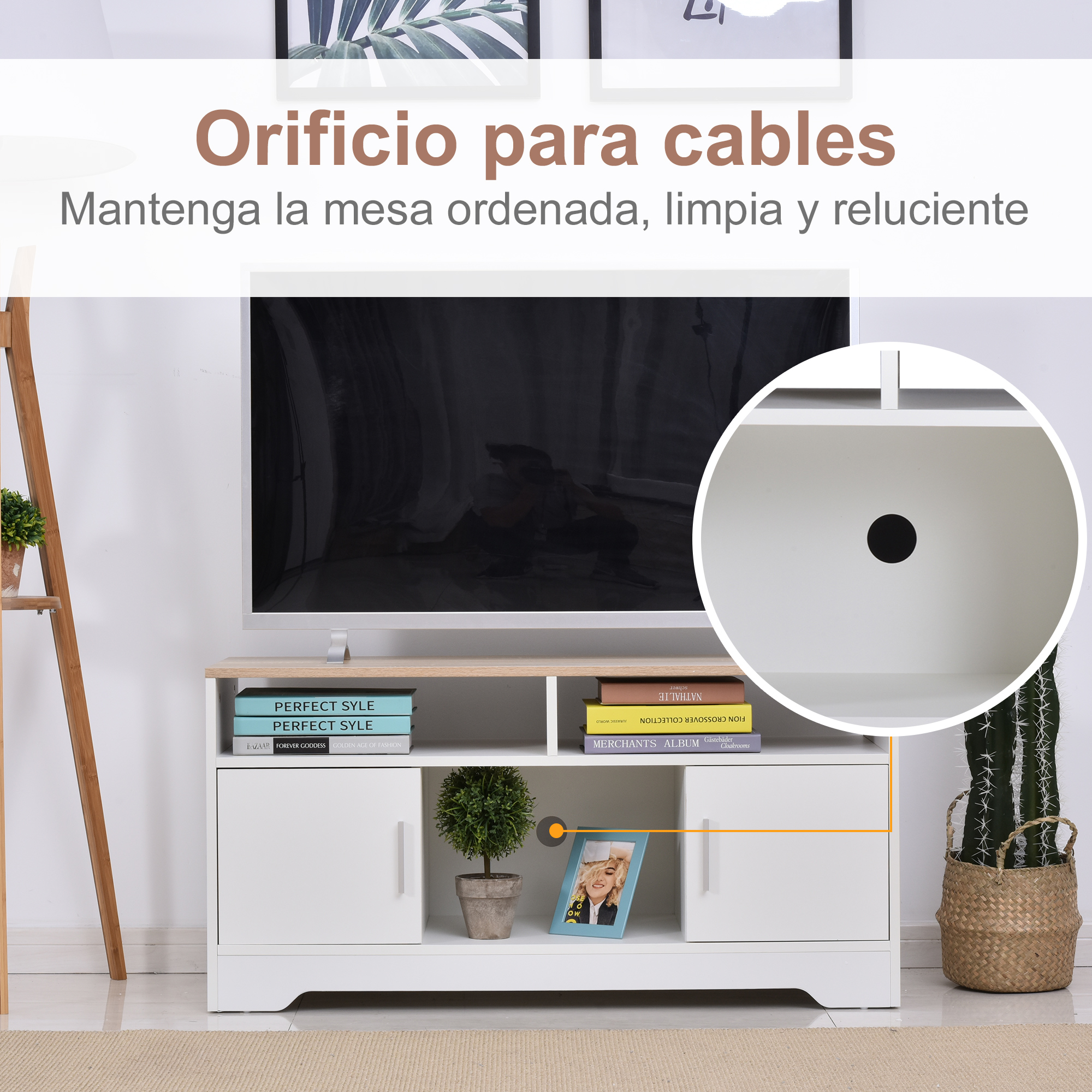 Un mueble de TV blanco con libros, una planta y un marco.