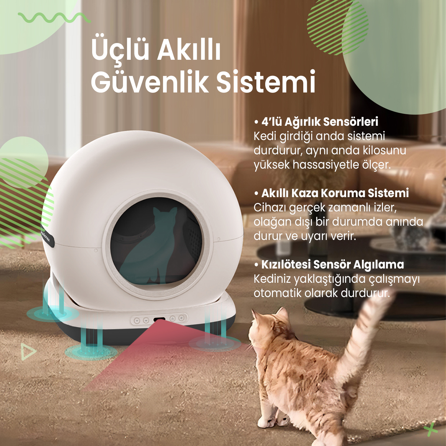 Sensörlü beyaz otomatik kedi tuvaleti ve yakında tekir yavru kedi.