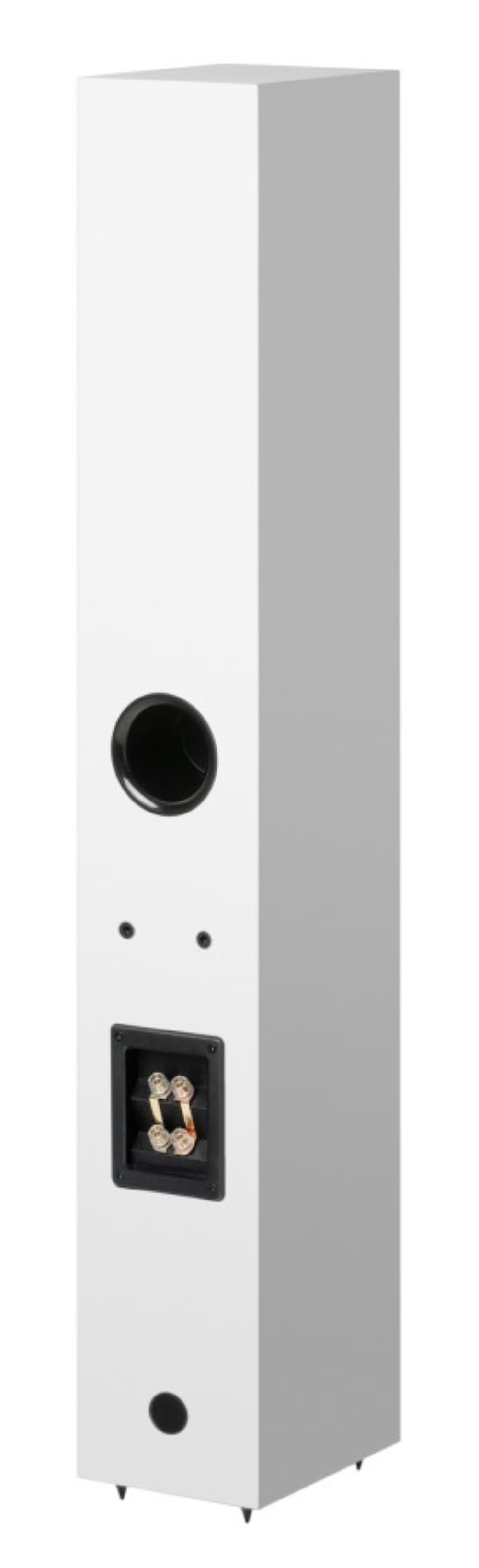 Biała obudowa głośnika z czarnym portem, terminalami i kolcami.