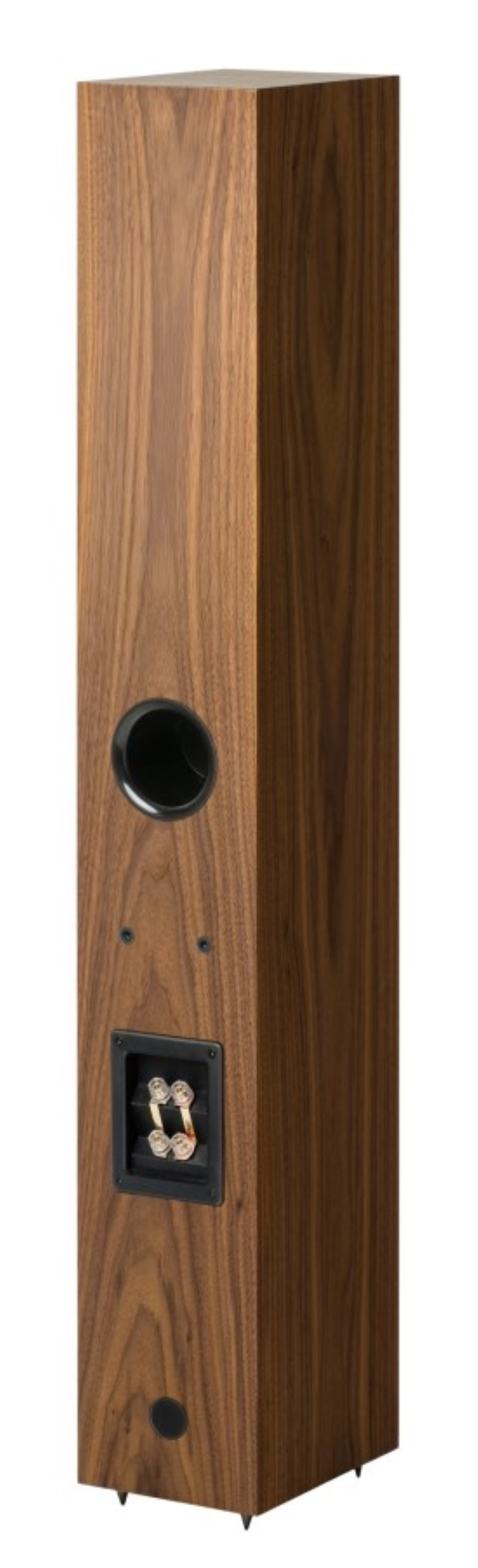 Tył brązowego drewnianego głośnika z terminalami i otworem.