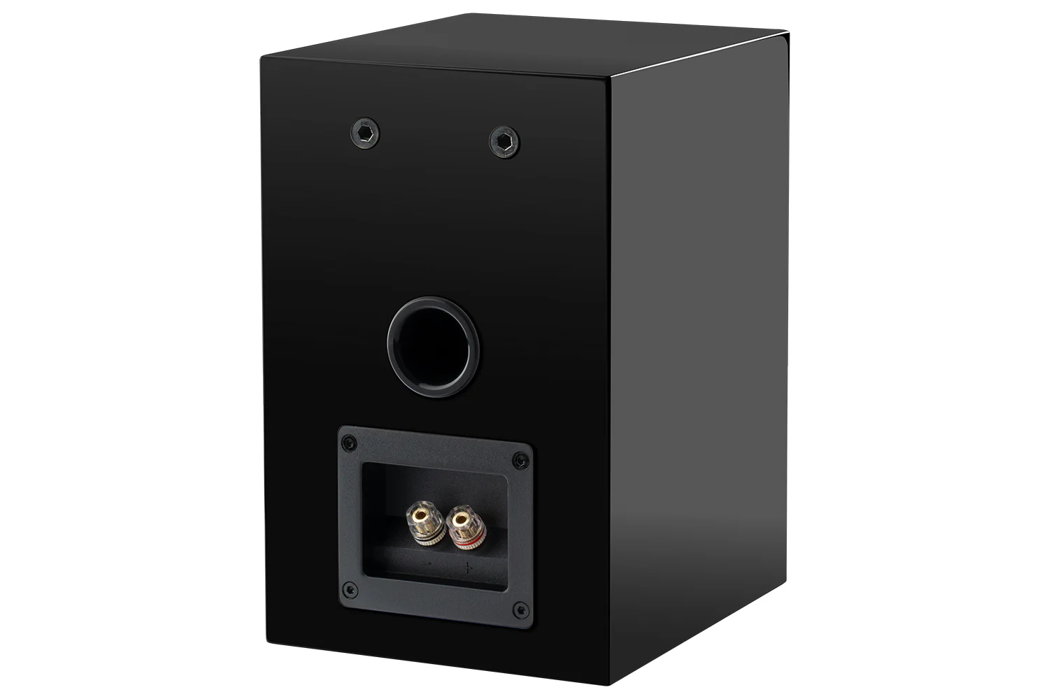 Tył czarnego, błyszczącego głośnika z terminalami przyłączeniowymi.